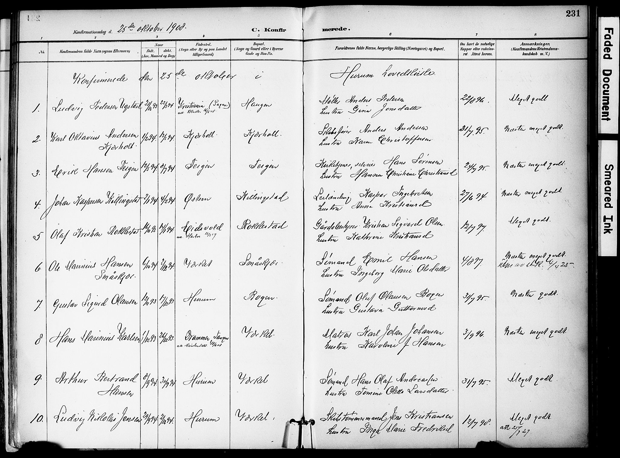 Hurum kirkebøker, AV/SAKO-A-229/F/Fa/L0015: Parish register (official) no. 15, 1896-1908, p. 231