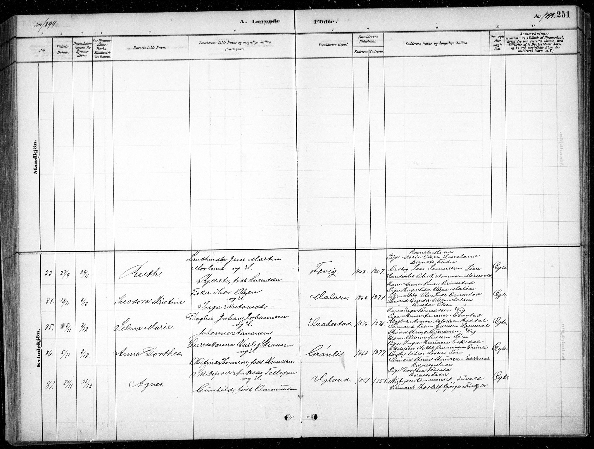 Fjære sokneprestkontor, AV/SAK-1111-0011/F/Fb/L0011: Parish register (copy) no. B 11, 1881-1905, p. 251