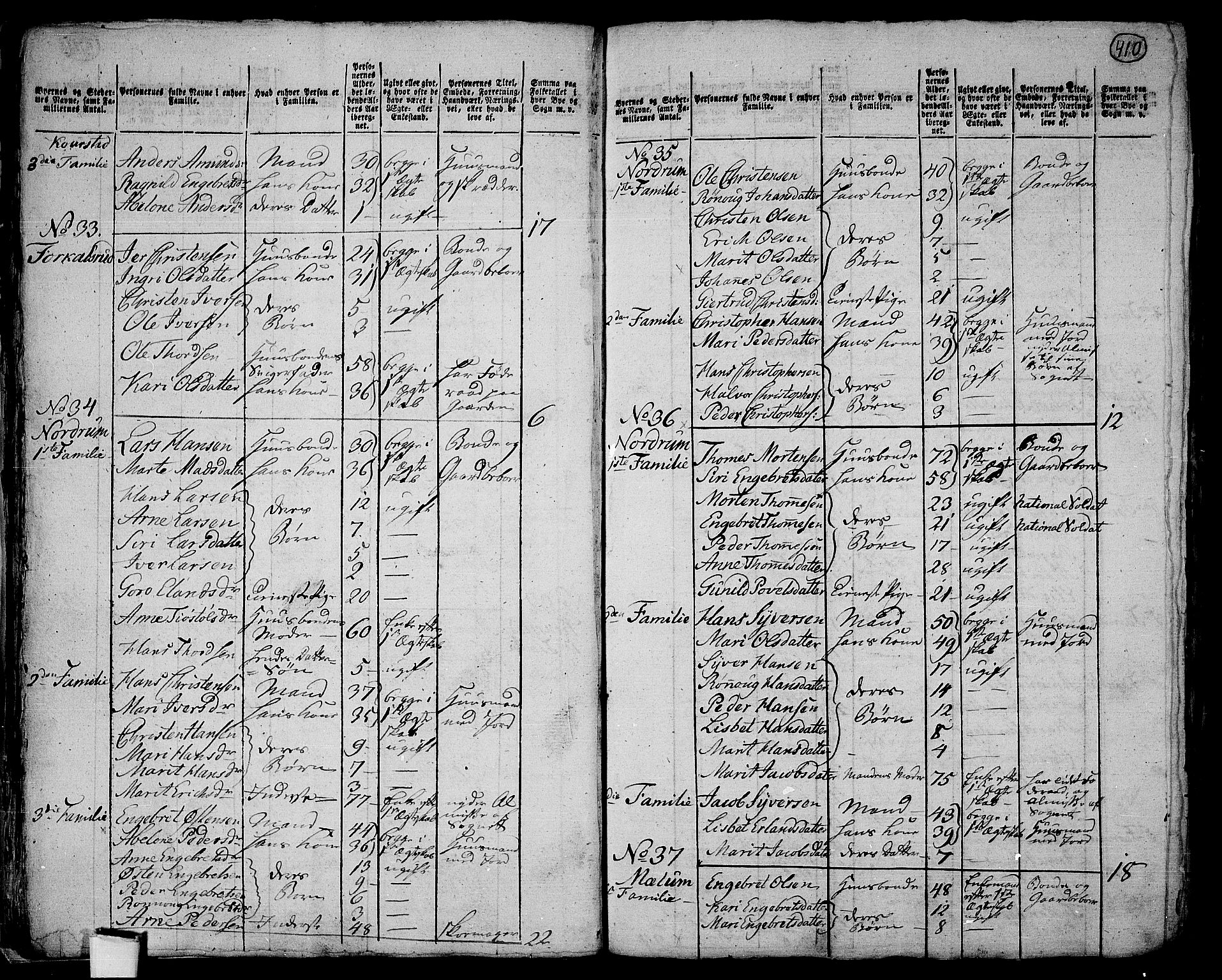 RA, 1801 census for 0520P Ringebu, 1801, p. 409b-410a