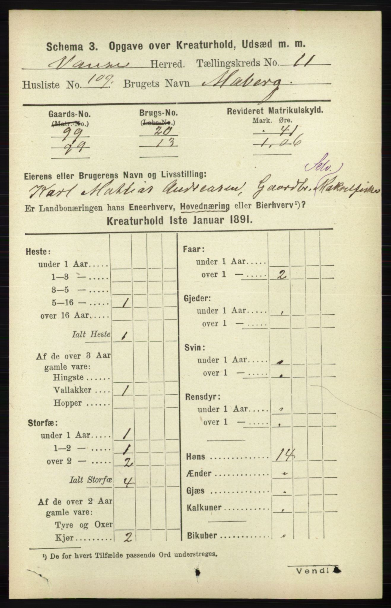 RA, 1891 census for 1041 Vanse, 1891, p. 10087