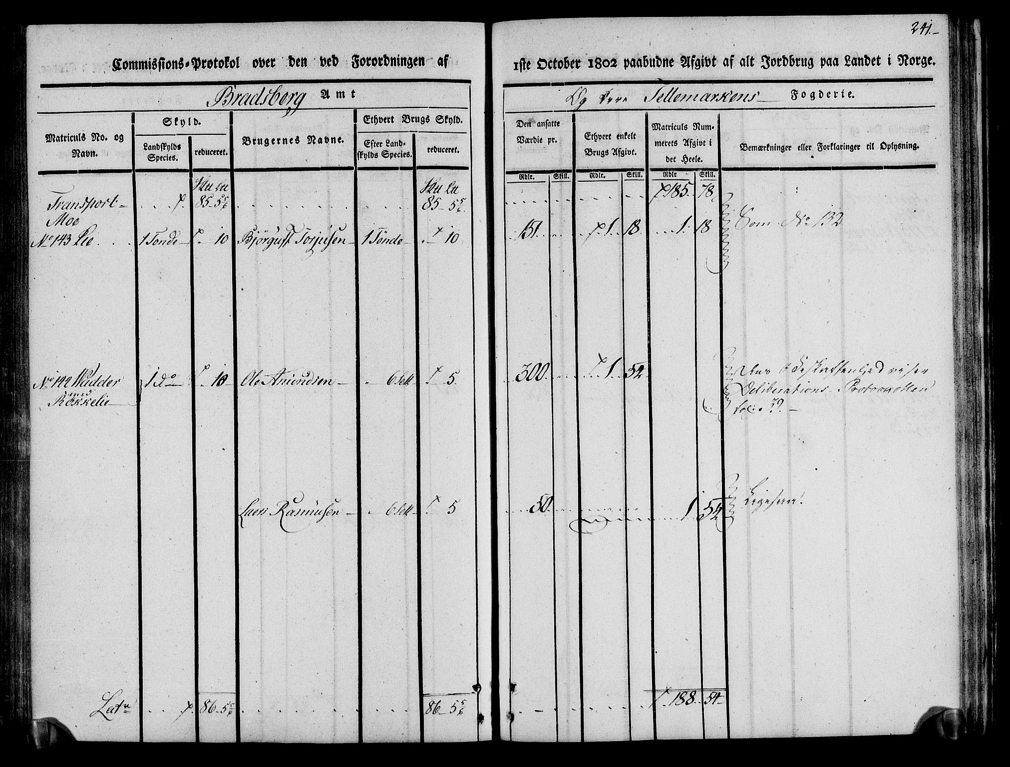 Rentekammeret inntil 1814, Realistisk ordnet avdeling, AV/RA-EA-4070/N/Ne/Nea/L0075: Øvre Telemarken fogderi. Kommisjonsprotokoll for fogderiets vestre del - Kviteseid, Vinje, Moland [):Fyresdal] og Lårdal prestegjeld., 1803, p. 243