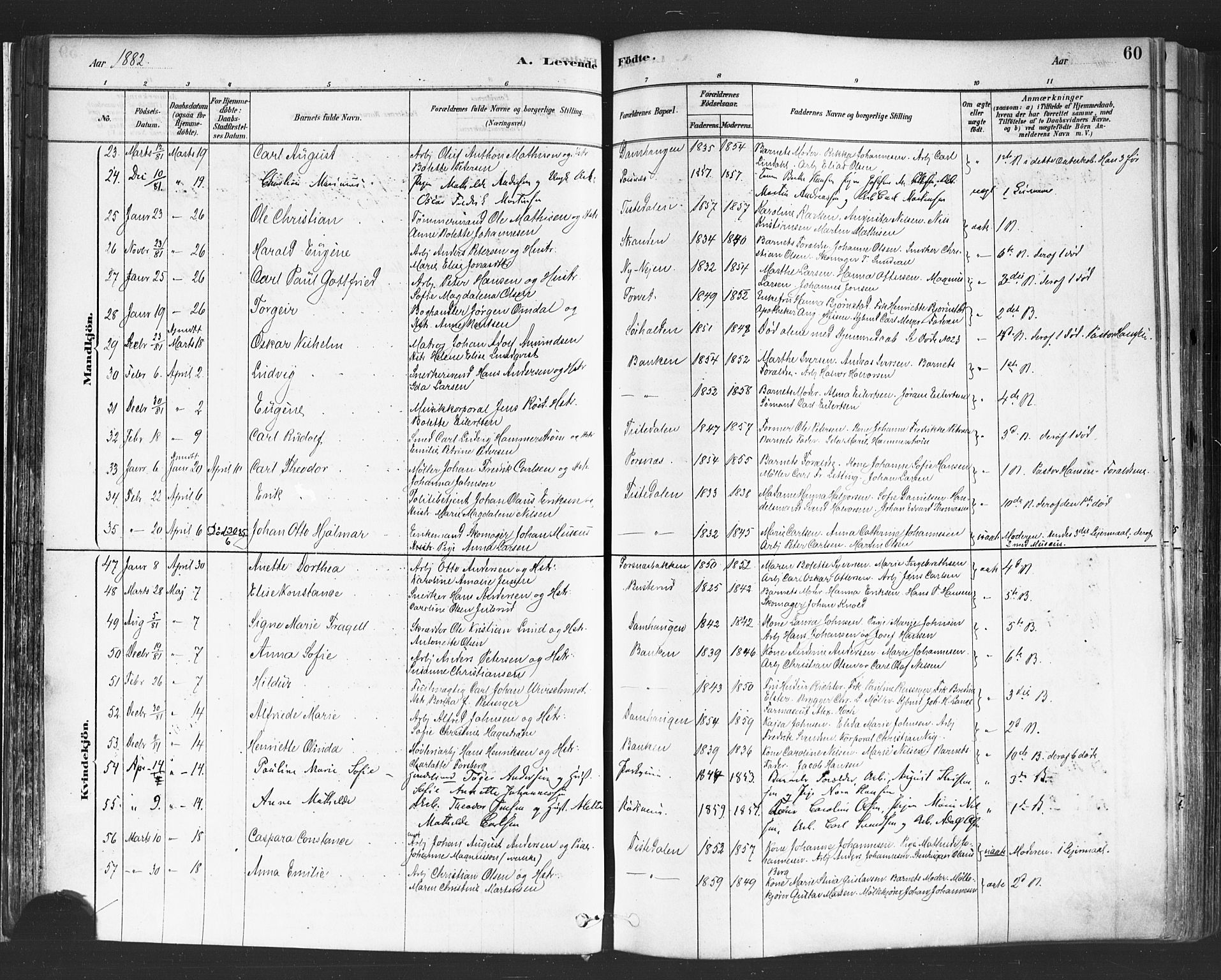 Halden prestekontor Kirkebøker, SAO/A-10909/F/Fa/L0011: Parish register (official) no. I 11, 1878-1889, p. 60
