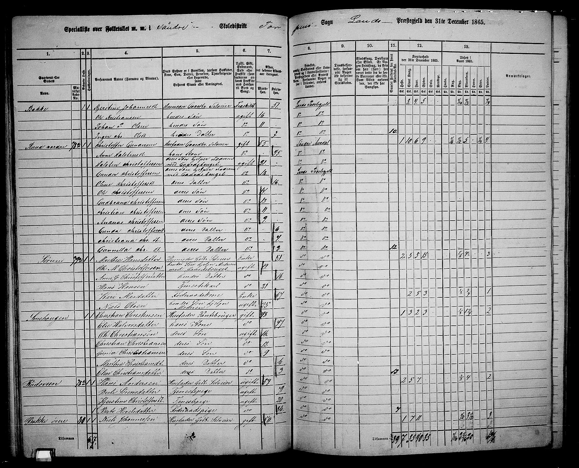 RA, 1865 census for Land, 1865, p. 84