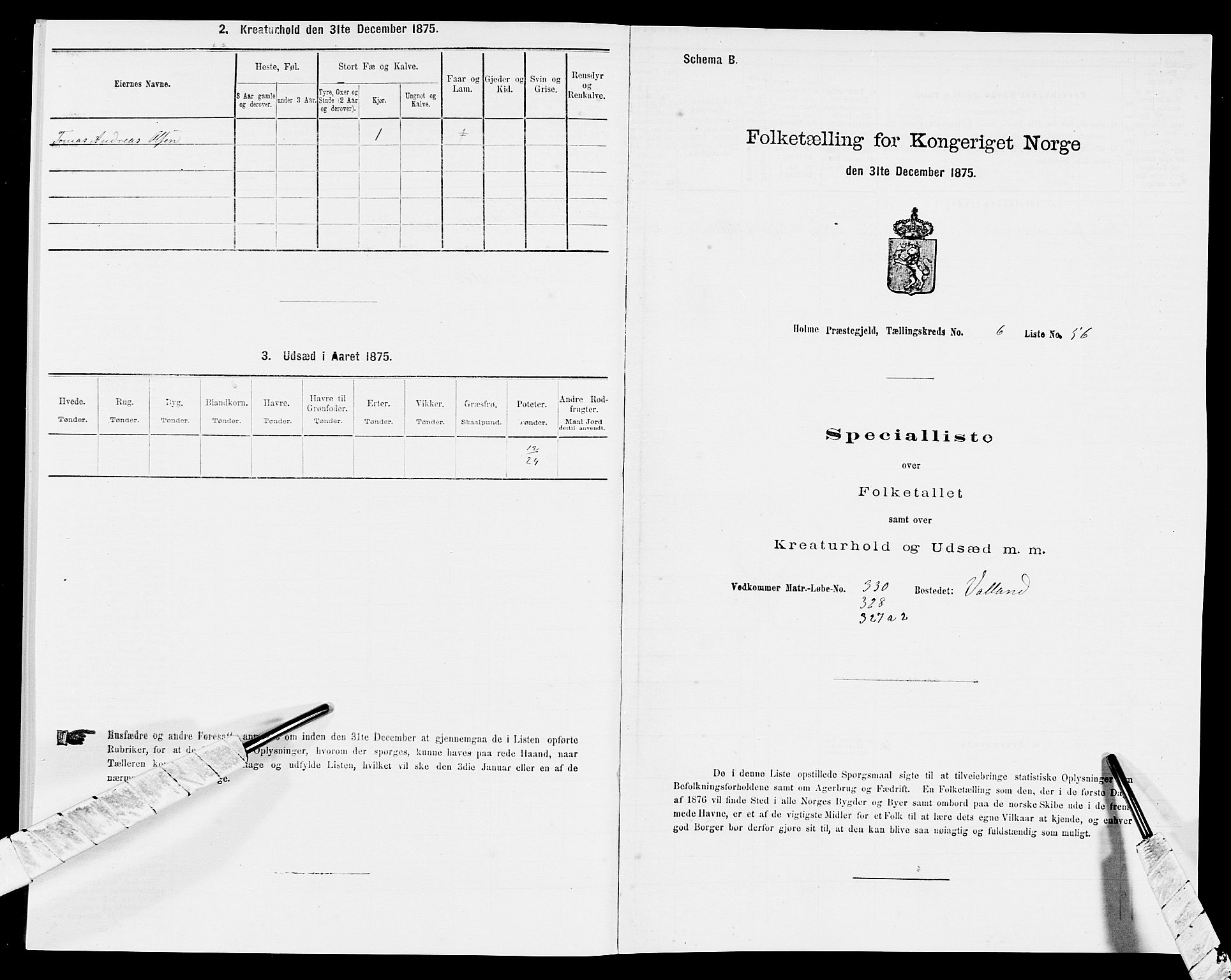 SAK, 1875 census for 1020P Holum, 1875, p. 685