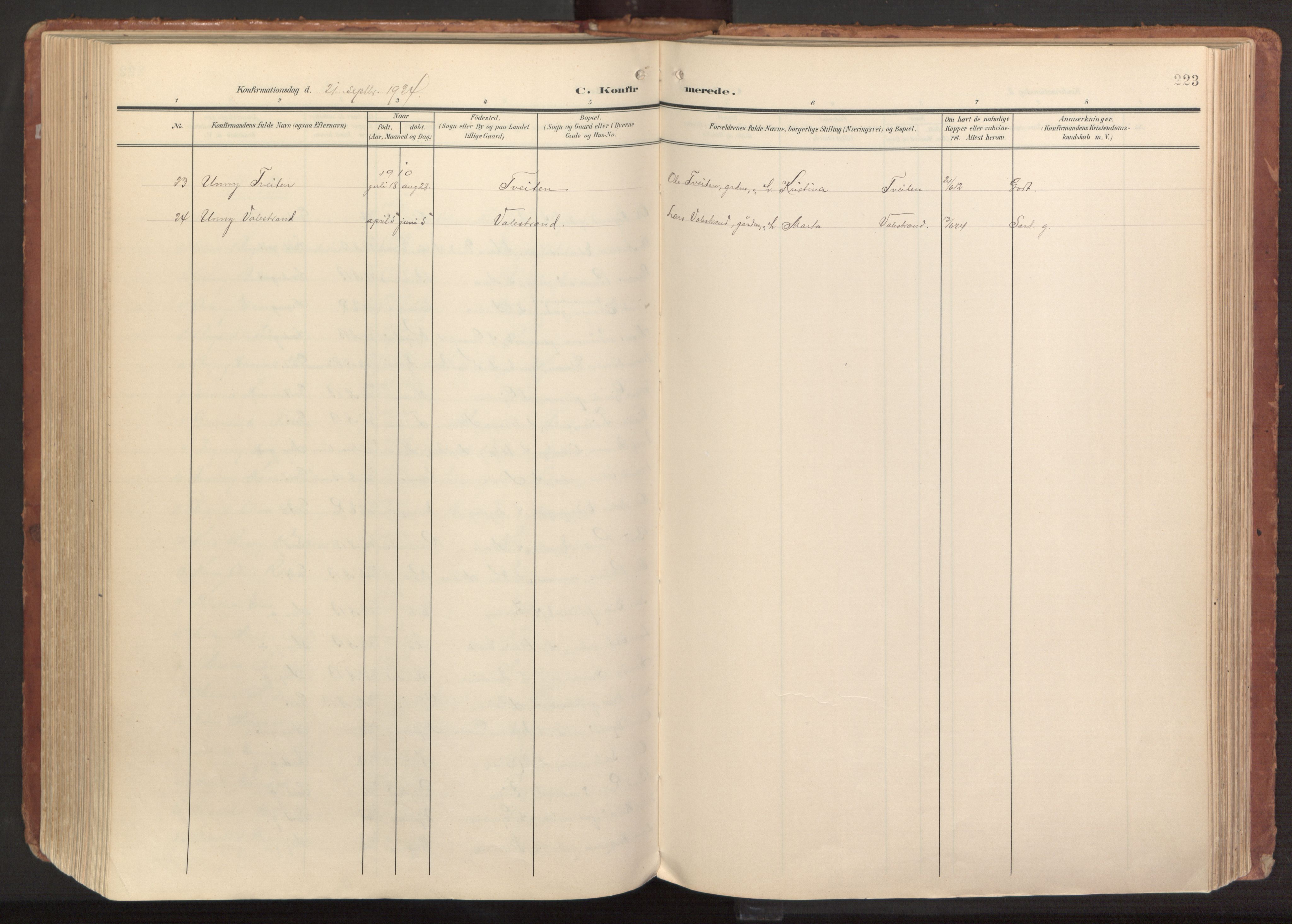 Hamre sokneprestembete, AV/SAB-A-75501/H/Ha/Haa/Haab/L0002: Parish register (official) no. B 2, 1905-1924, p. 223