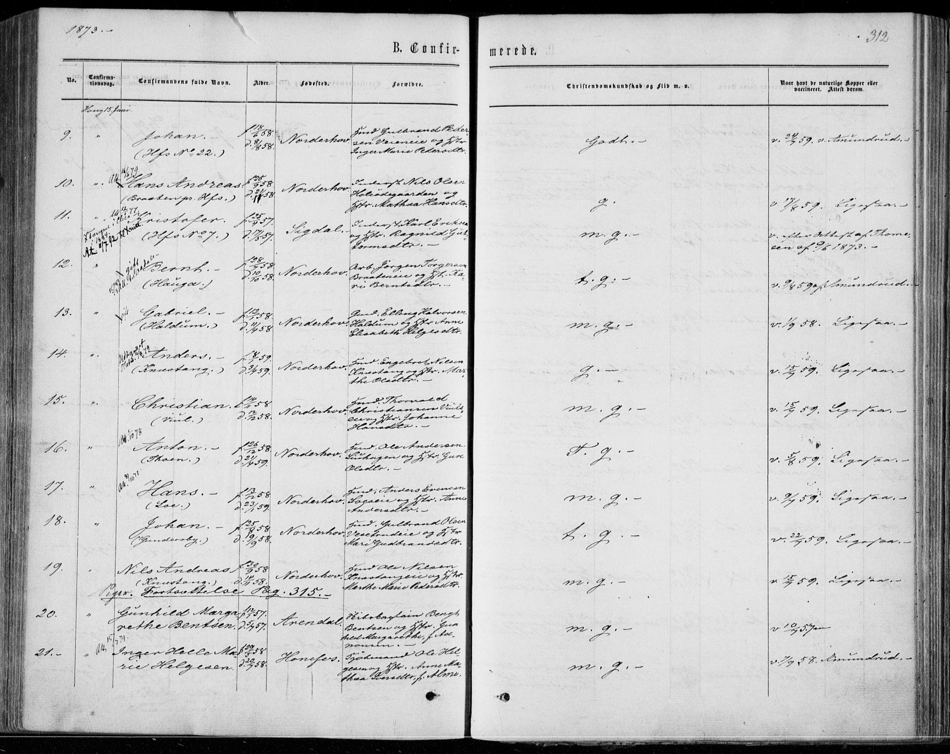 Norderhov kirkebøker, SAKO/A-237/F/Fa/L0013: Parish register (official) no. 13, 1866-1874, p. 312