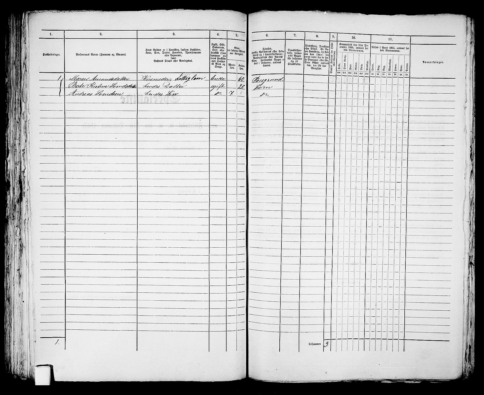 RA, 1865 census for Skien, 1865, p. 946