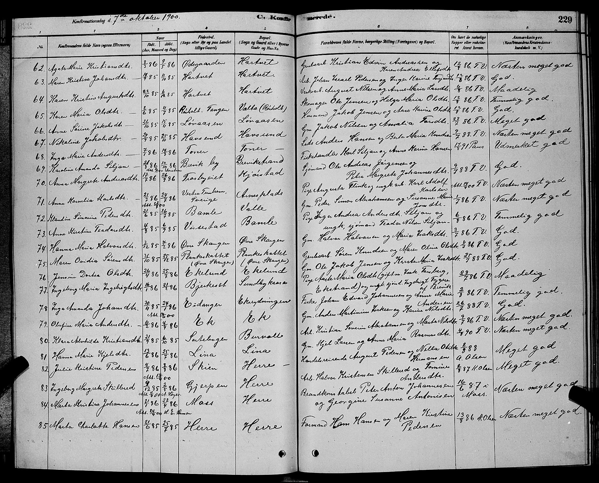 Bamble kirkebøker, AV/SAKO-A-253/G/Ga/L0008: Parish register (copy) no. I 8, 1878-1888, p. 229