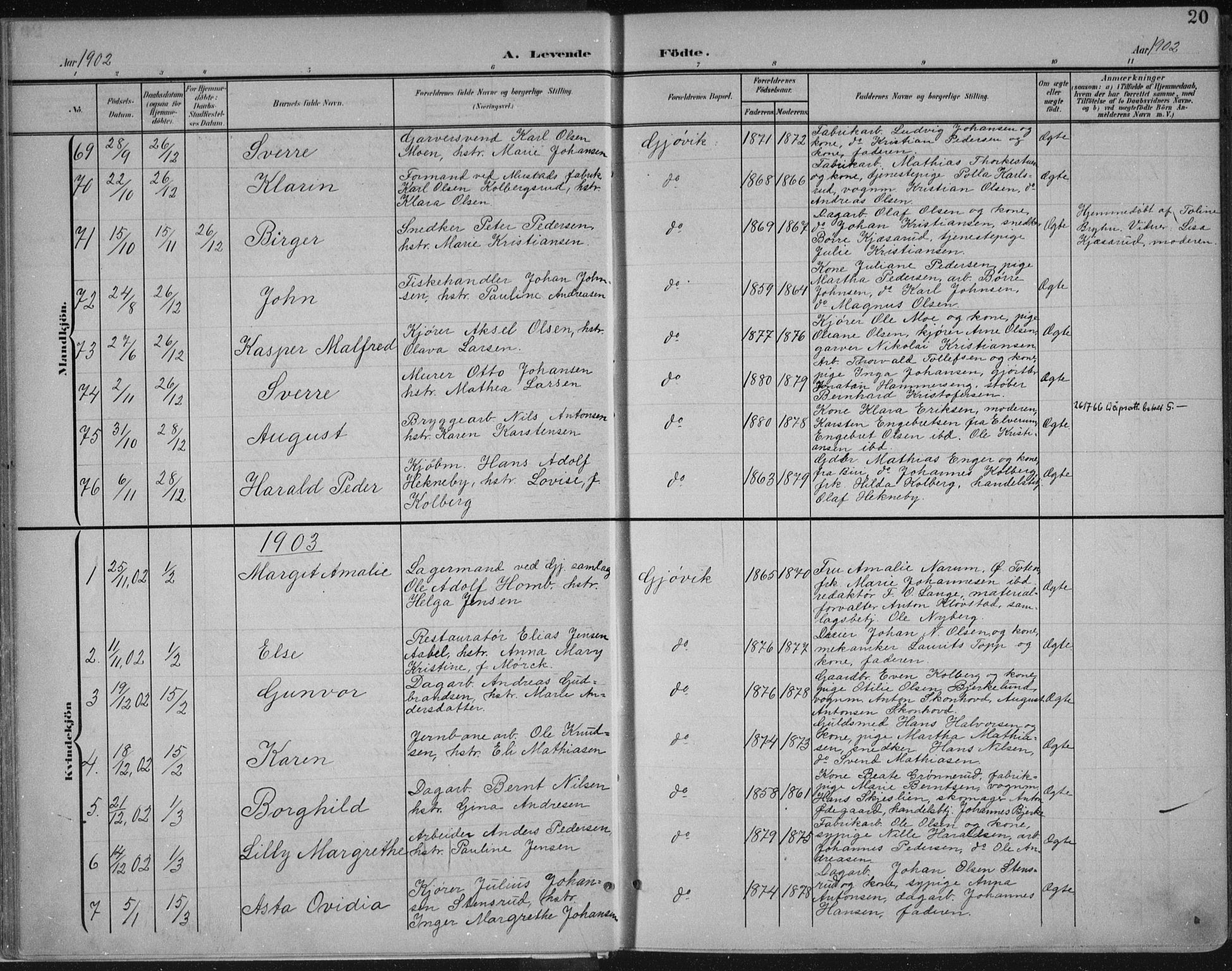 Vardal prestekontor, SAH/PREST-100/H/Ha/Haa/L0013: Parish register (official) no. 13, 1901-1911, p. 20