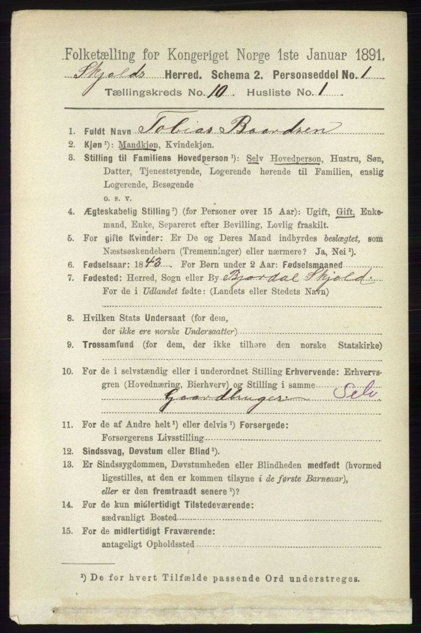 RA, 1891 census for 1154 Skjold, 1891, p. 1999