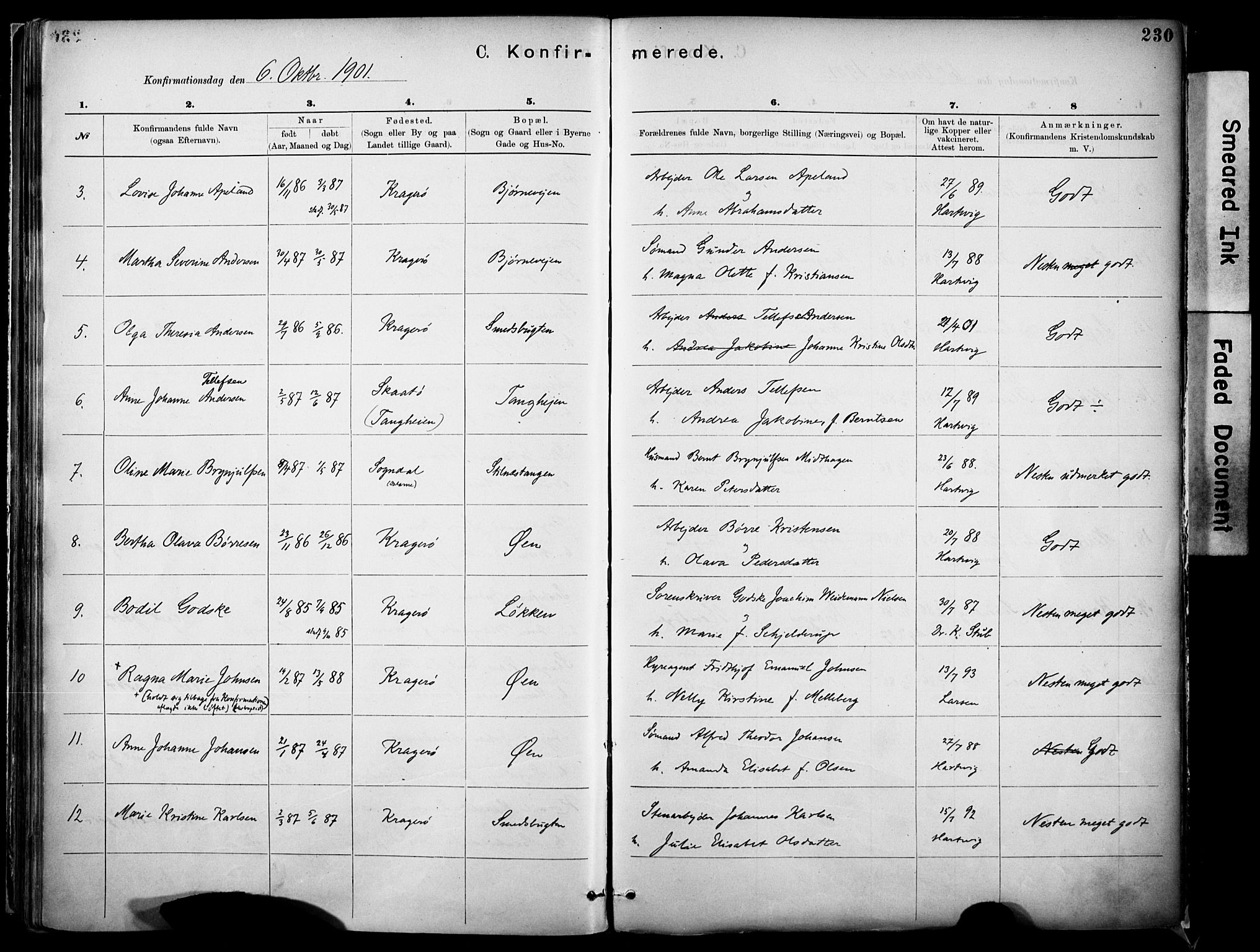 Kragerø kirkebøker, SAKO/A-278/F/Fa/L0012: Parish register (official) no. 12, 1880-1904, p. 230