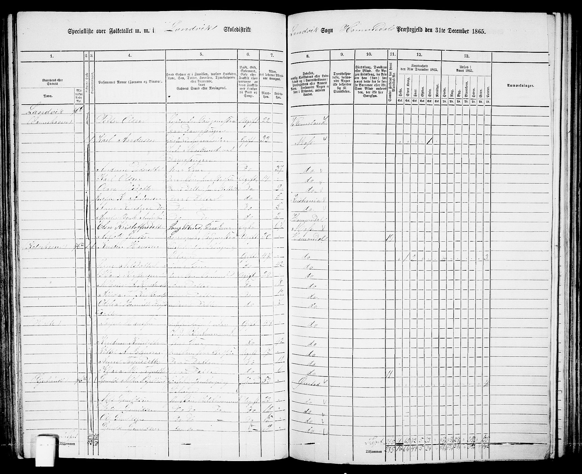 RA, 1865 census for Homedal, 1865, p. 84