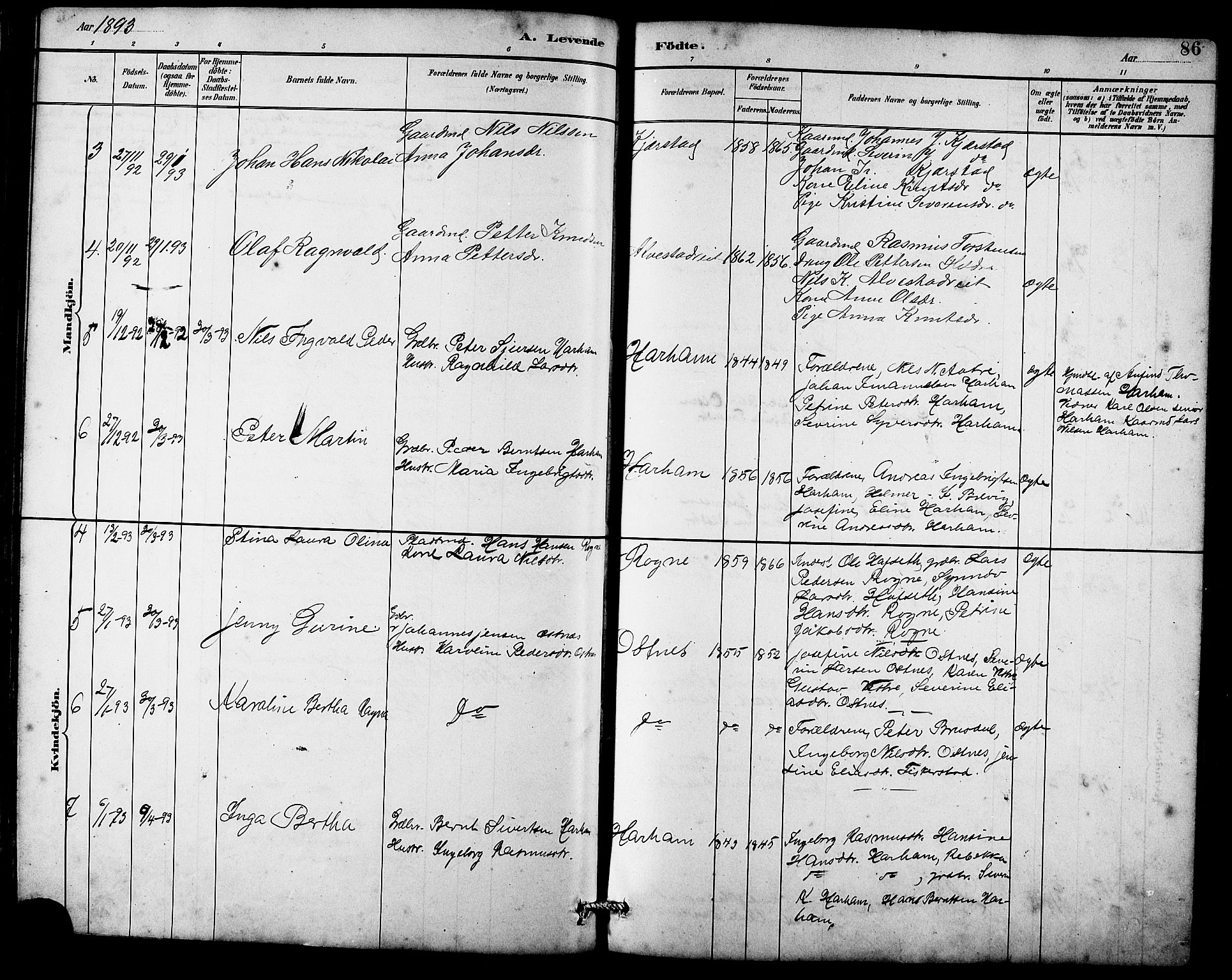 Ministerialprotokoller, klokkerbøker og fødselsregistre - Møre og Romsdal, AV/SAT-A-1454/536/L0510: Parish register (copy) no. 536C05, 1881-1898, p. 86