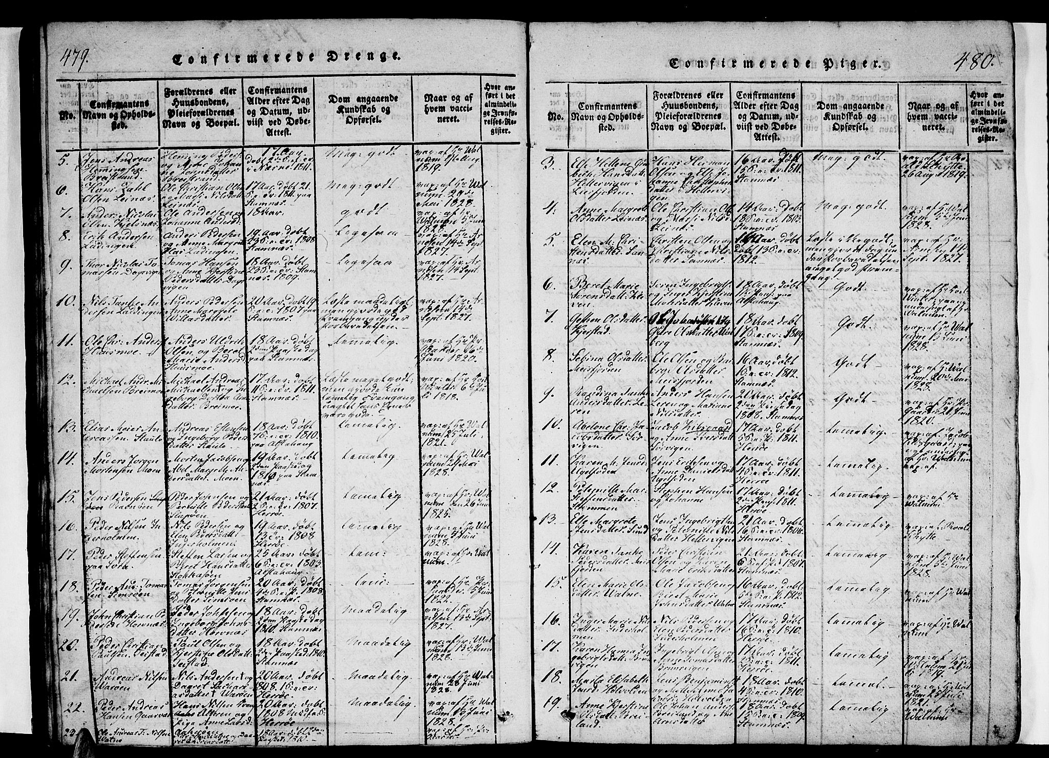 Ministerialprotokoller, klokkerbøker og fødselsregistre - Nordland, AV/SAT-A-1459/834/L0510: Parish register (copy) no. 834C01, 1820-1847, p. 479-480