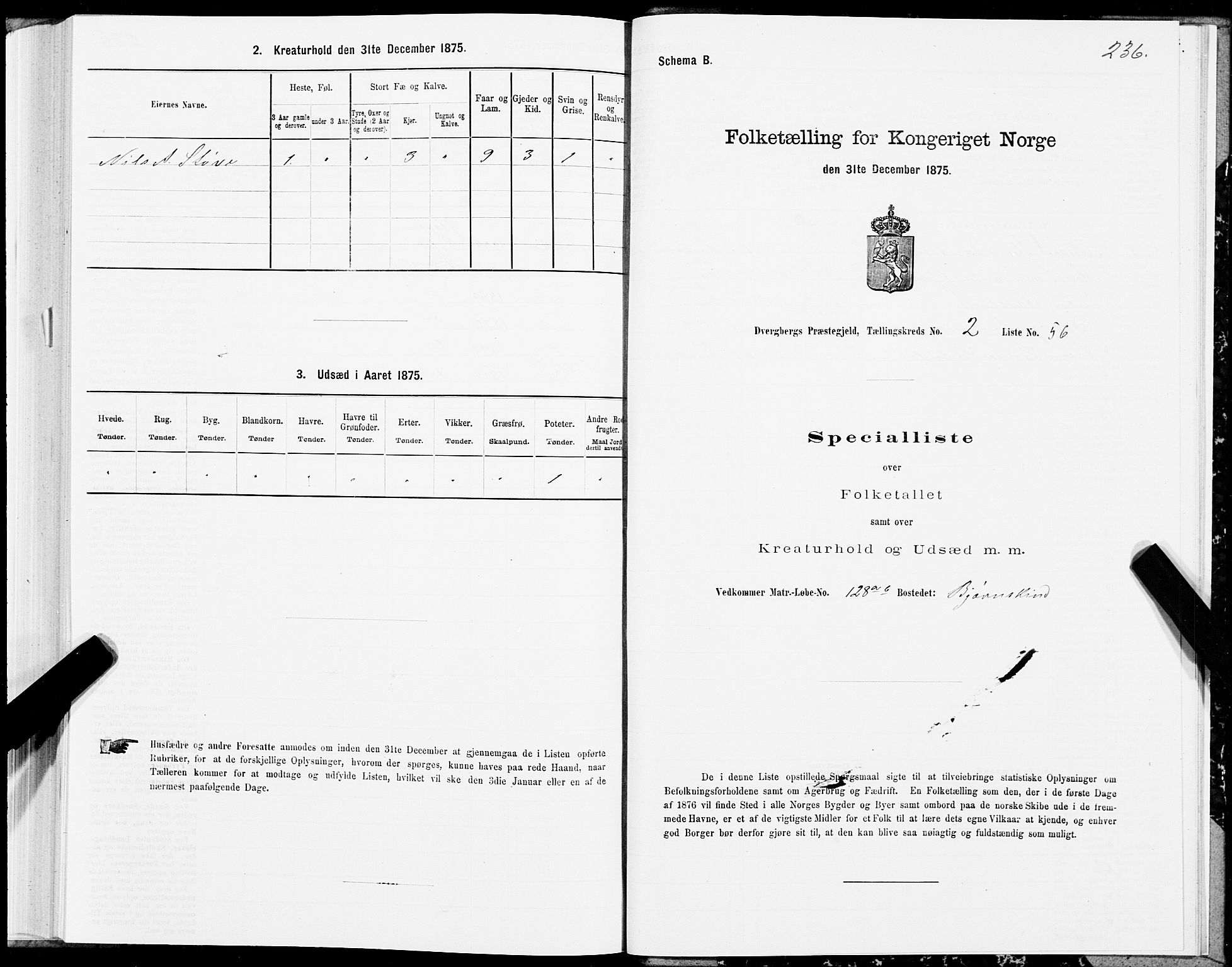 SAT, 1875 census for 1872P Dverberg, 1875, p. 1236