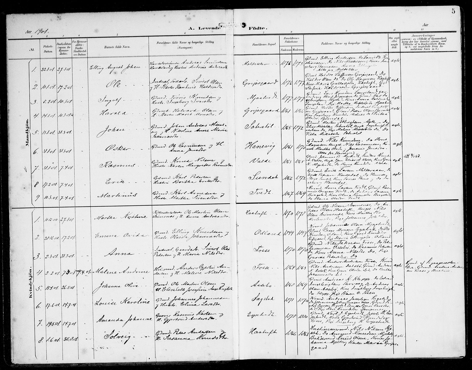 Alversund Sokneprestembete, SAB/A-73901/H/Ha/Haa/Haac/L0002: Parish register (official) no. C 2, 1901-1921, p. 5