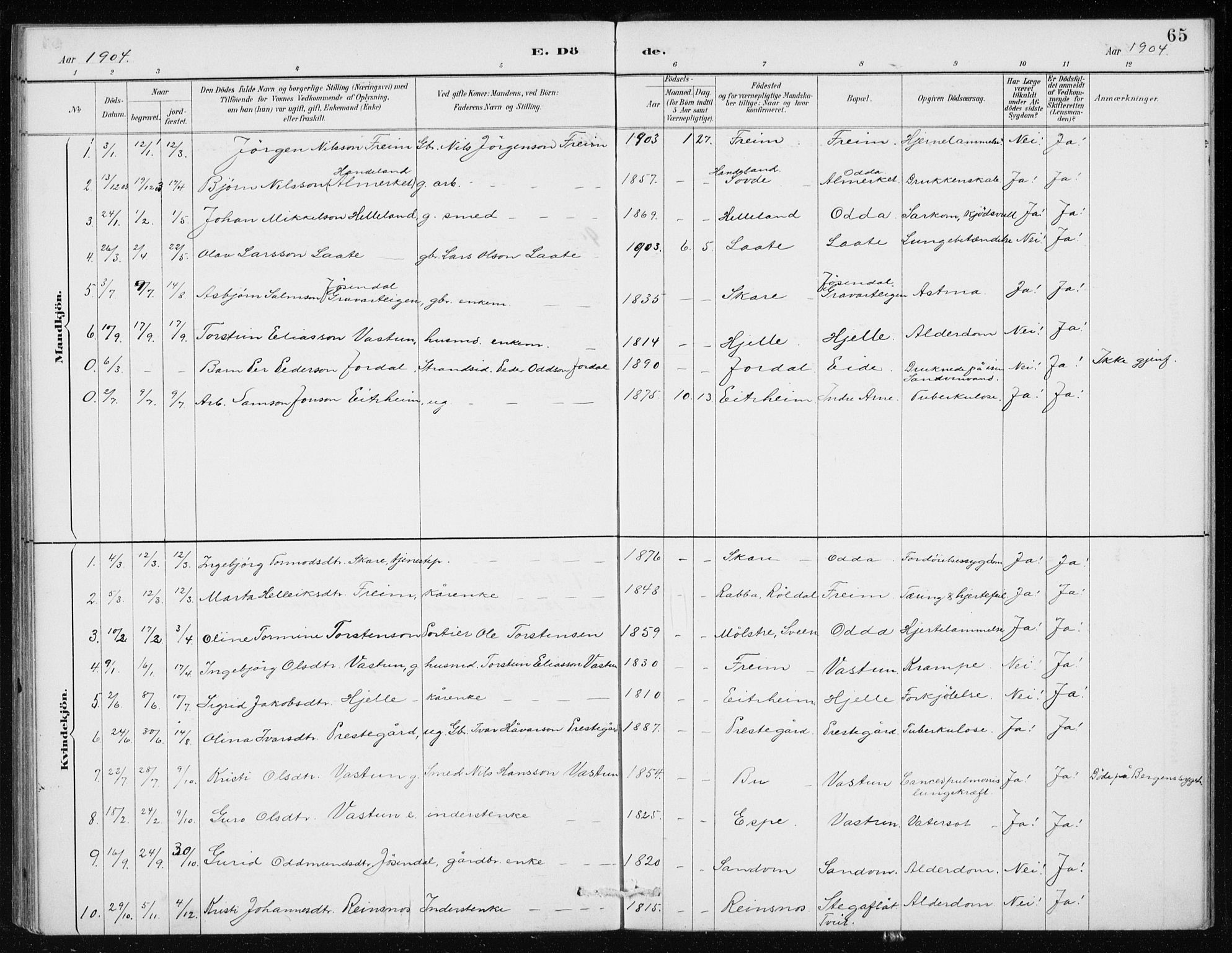 Odda Sokneprestembete, AV/SAB-A-77201/H/Haa: Parish register (official) no. D 1, 1887-1914, p. 65