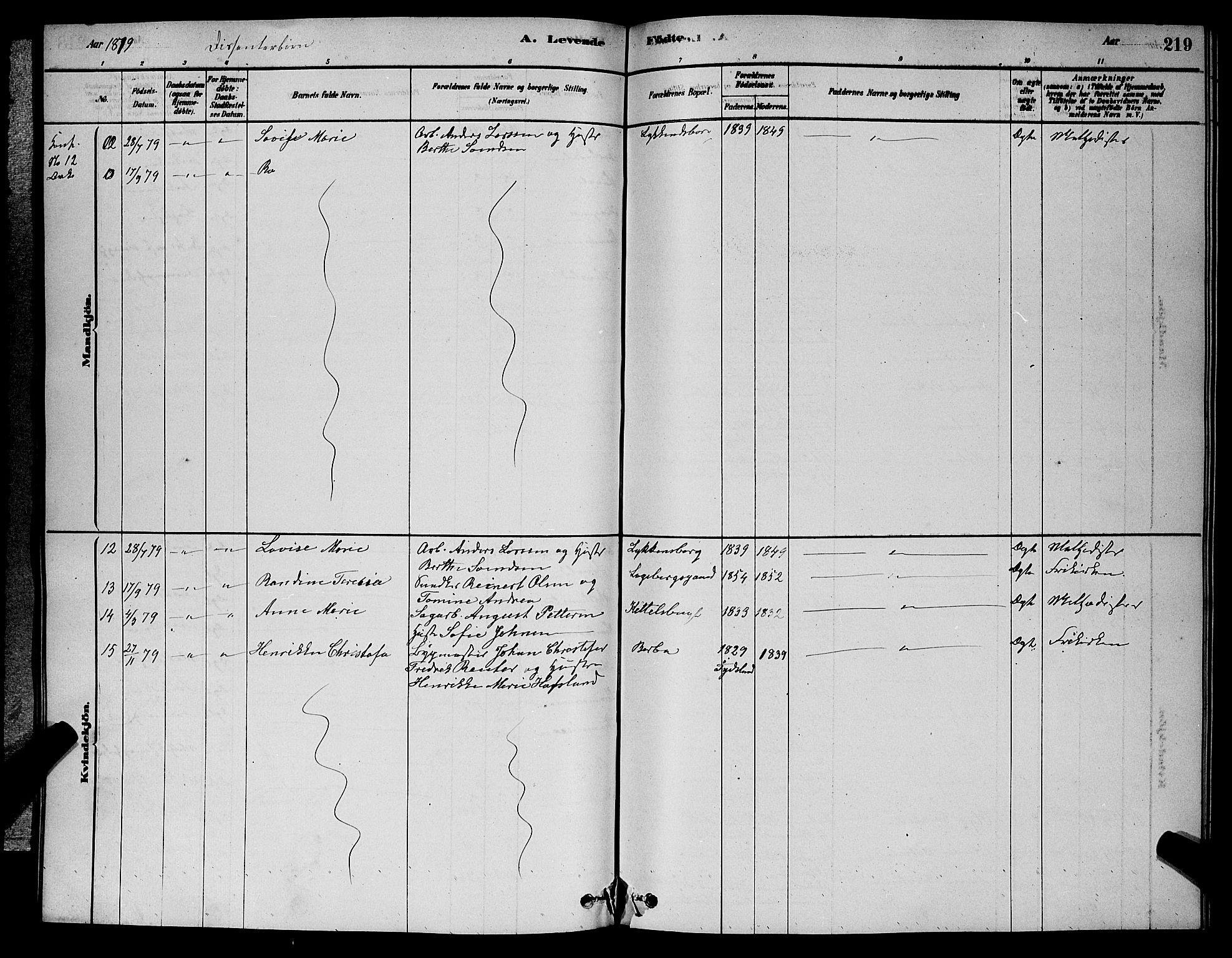 Barbu sokneprestkontor, AV/SAK-1111-0003/F/Fb/L0001: Parish register (copy) no. B 1, 1878-1890, p. 219