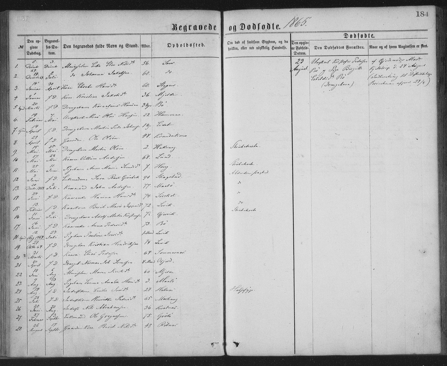 Ministerialprotokoller, klokkerbøker og fødselsregistre - Nordland, AV/SAT-A-1459/855/L0801: Parish register (official) no. 855A09, 1864-1874, p. 184