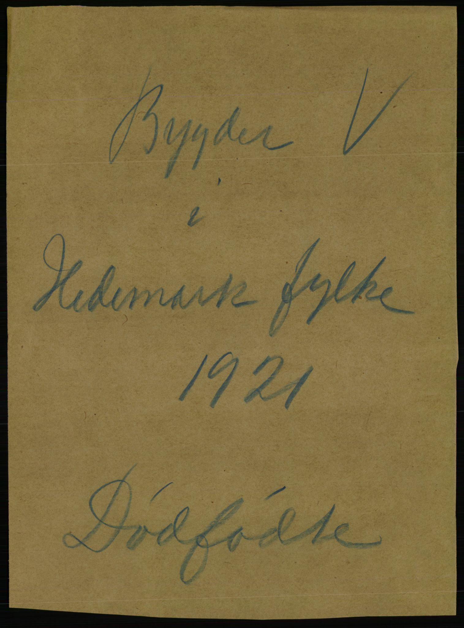 Statistisk sentralbyrå, Sosiodemografiske emner, Befolkning, RA/S-2228/D/Df/Dfc/Dfca/L0015: Hedemark fylke: Levendefødte menn og kvinner. Byer, 1921, p. 783