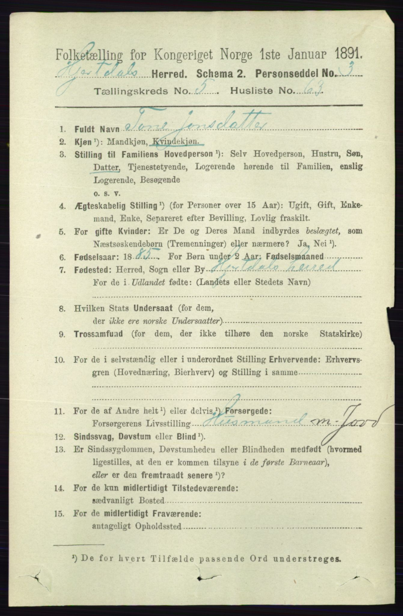 RA, 1891 census for 0827 Hjartdal, 1891, p. 2119