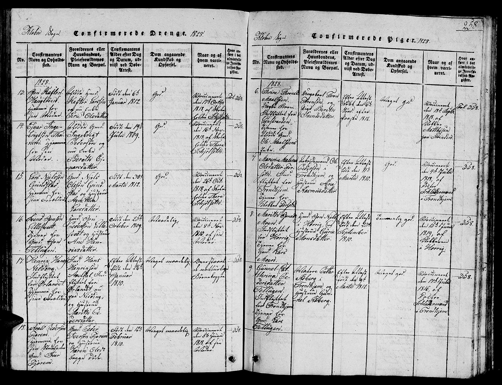 Ministerialprotokoller, klokkerbøker og fødselsregistre - Sør-Trøndelag, AV/SAT-A-1456/618/L0450: Parish register (copy) no. 618C01, 1816-1865, p. 258