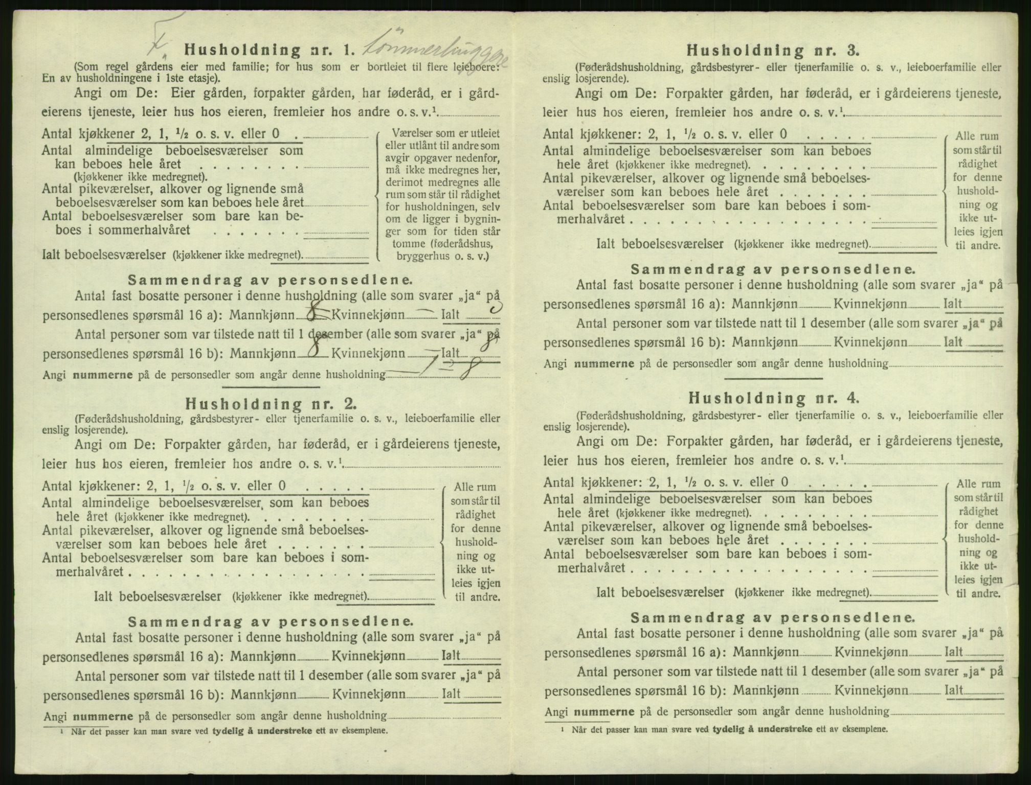 RA, 1920 census: Additional forms, 1920, p. 30