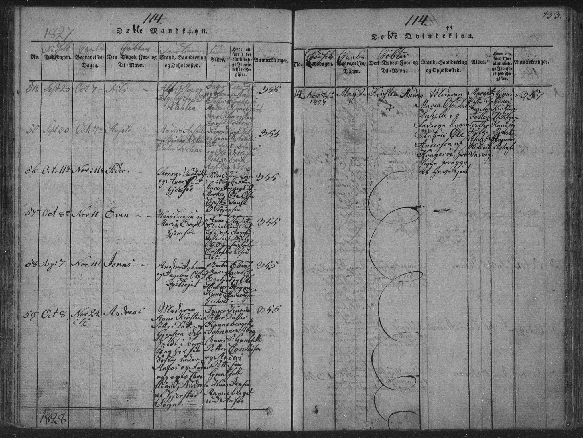 Solum kirkebøker, AV/SAKO-A-306/F/Fa/L0004: Parish register (official) no. I 4, 1814-1833, p. 133