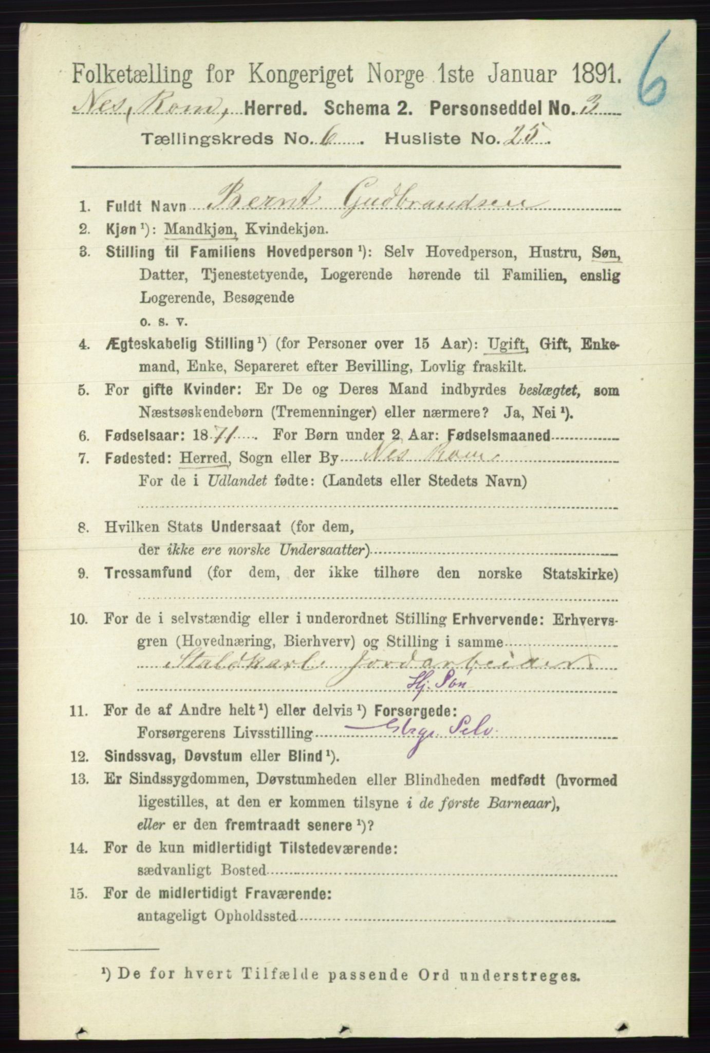 RA, 1891 census for 0236 Nes, 1891, p. 3532