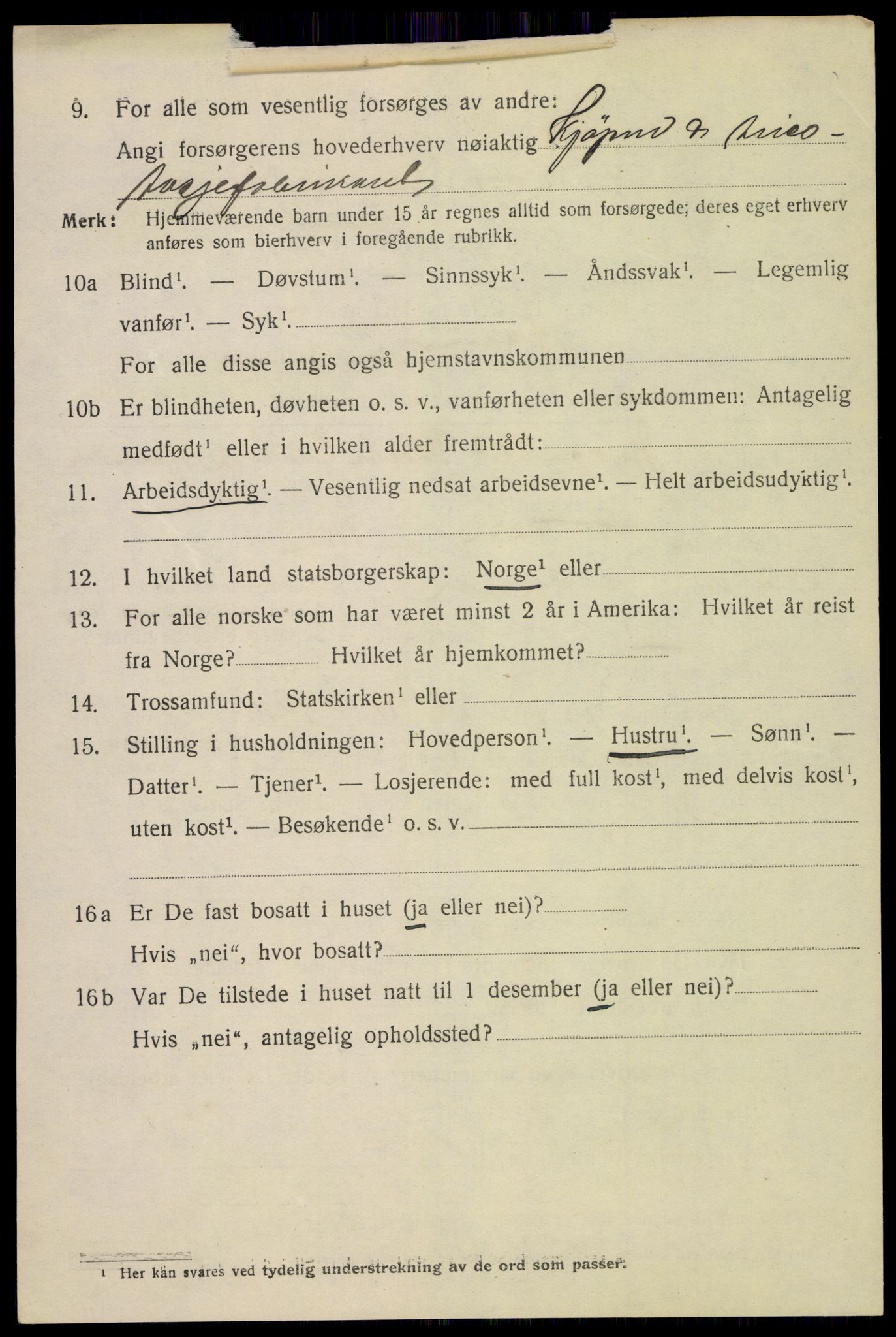 SAH, 1920 census for Hamar, 1920, p. 12992