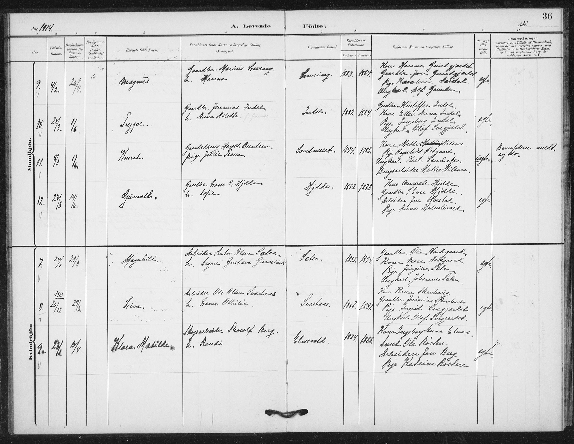 Ministerialprotokoller, klokkerbøker og fødselsregistre - Nord-Trøndelag, SAT/A-1458/724/L0264: Parish register (official) no. 724A02, 1908-1915, p. 36