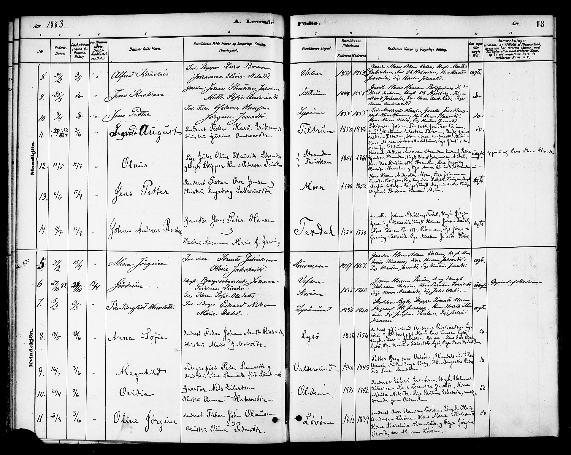 Ministerialprotokoller, klokkerbøker og fødselsregistre - Sør-Trøndelag, SAT/A-1456/654/L0663: Parish register (official) no. 654A01, 1880-1894, p. 13
