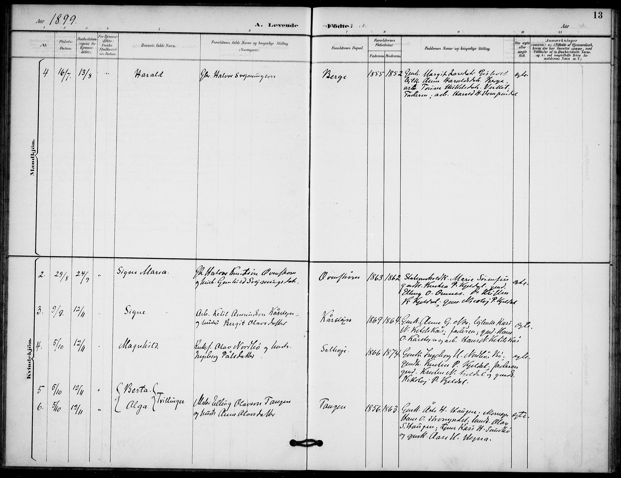 Lunde kirkebøker, AV/SAKO-A-282/F/Fb/L0004: Parish register (official) no. II 4, 1892-1907, p. 13