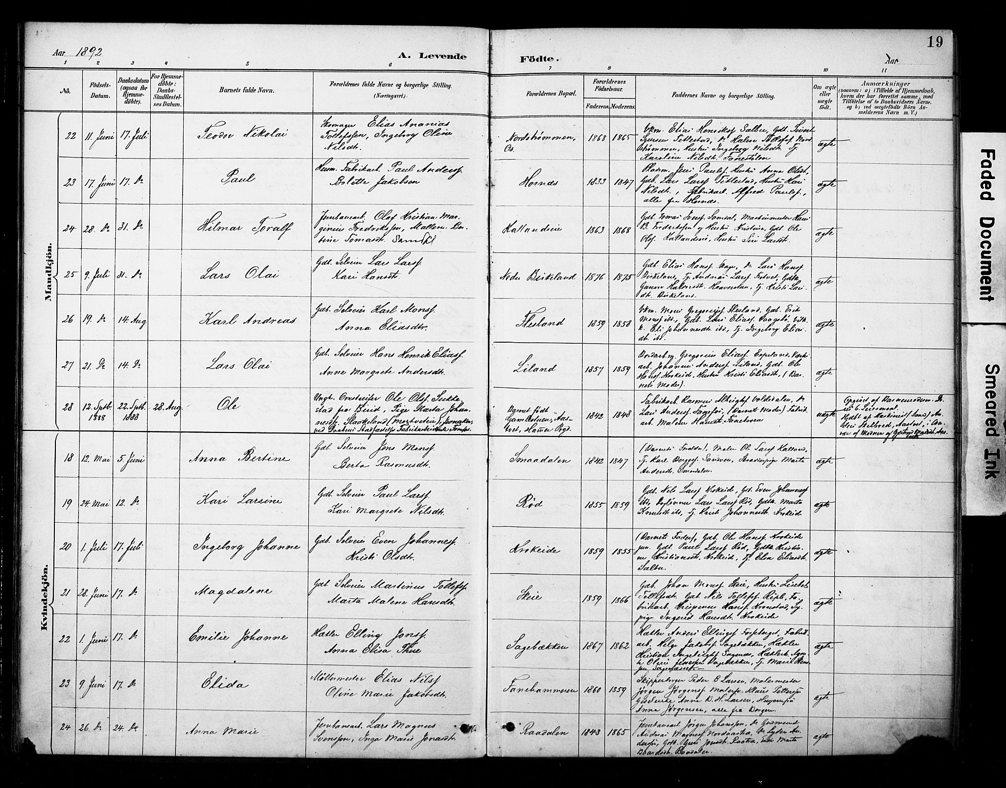 Fana Sokneprestembete, SAB/A-75101/H/Haa/Haab/L0002: Parish register (official) no. B 2, 1890-1897, p. 19