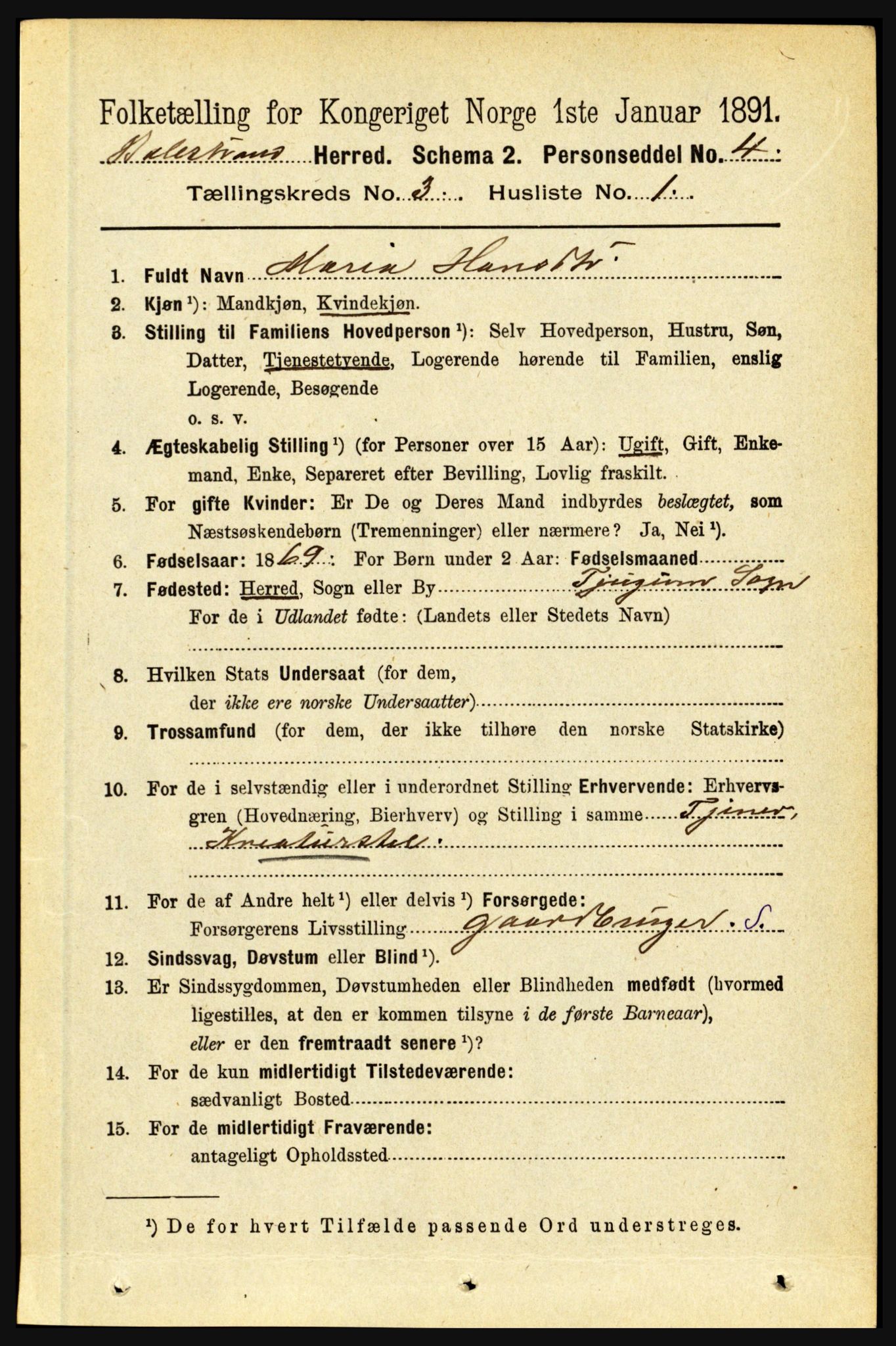 RA, 1891 census for 1418 Balestrand, 1891, p. 597