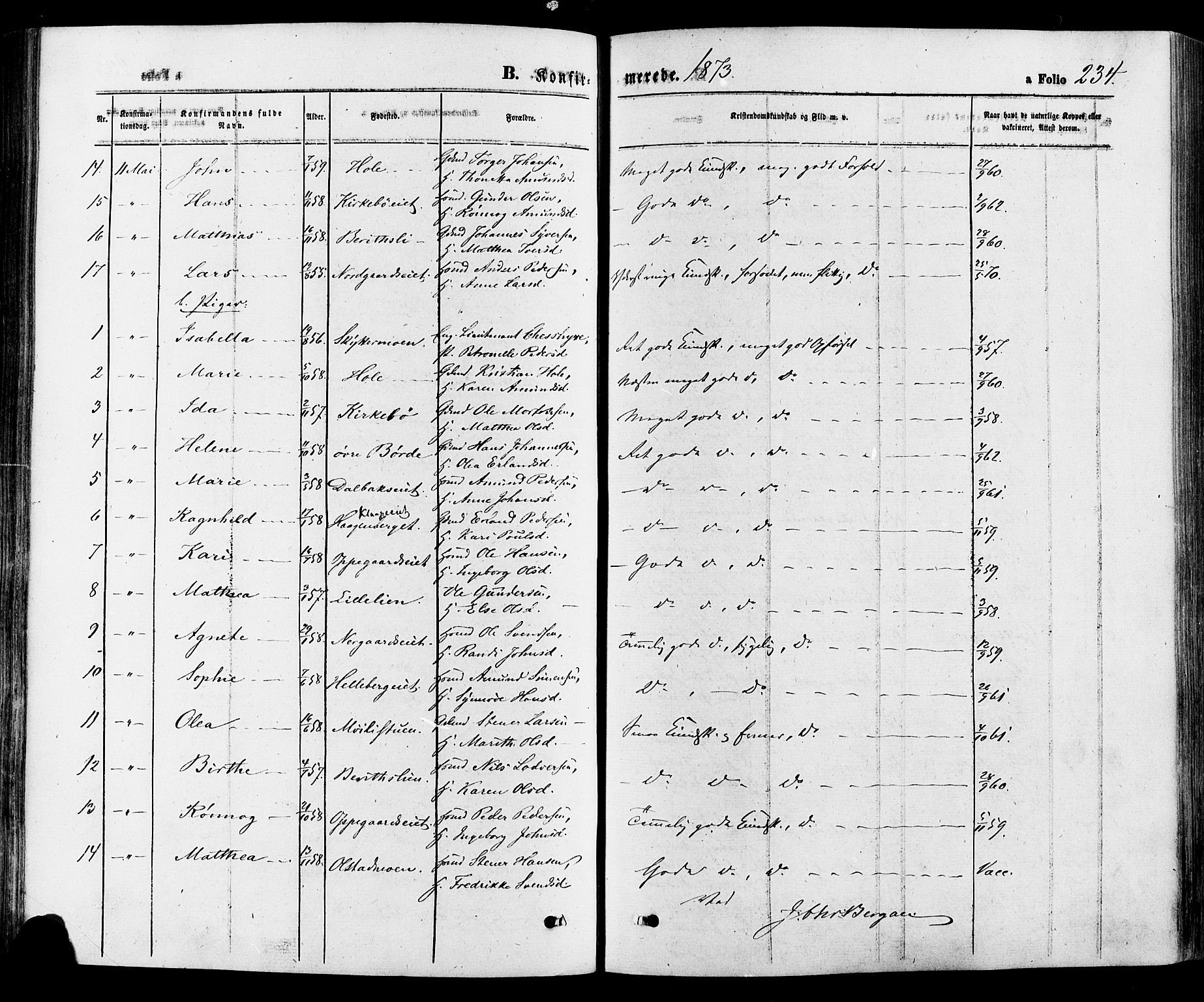 Gausdal prestekontor, SAH/PREST-090/H/Ha/Haa/L0010: Parish register (official) no. 10, 1867-1886, p. 234