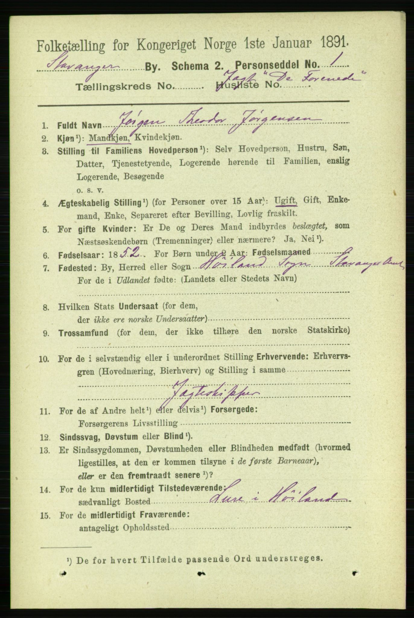 RA, 1891 census for 1103 Stavanger, 1891, p. 29875