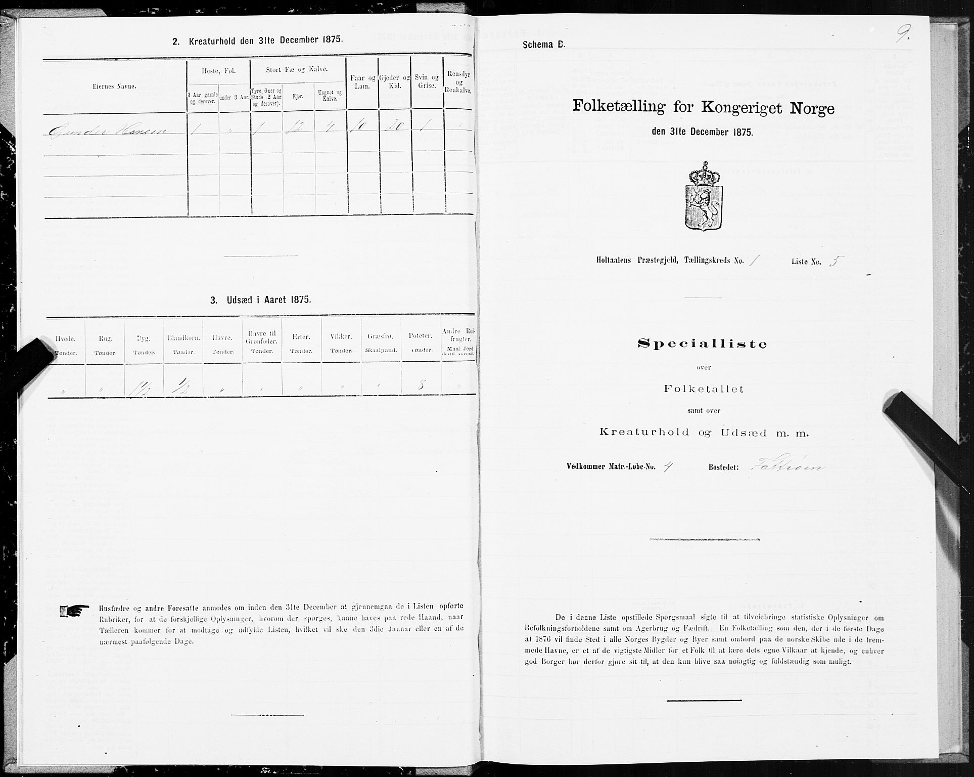 SAT, 1875 census for 1645P Haltdalen, 1875, p. 1009