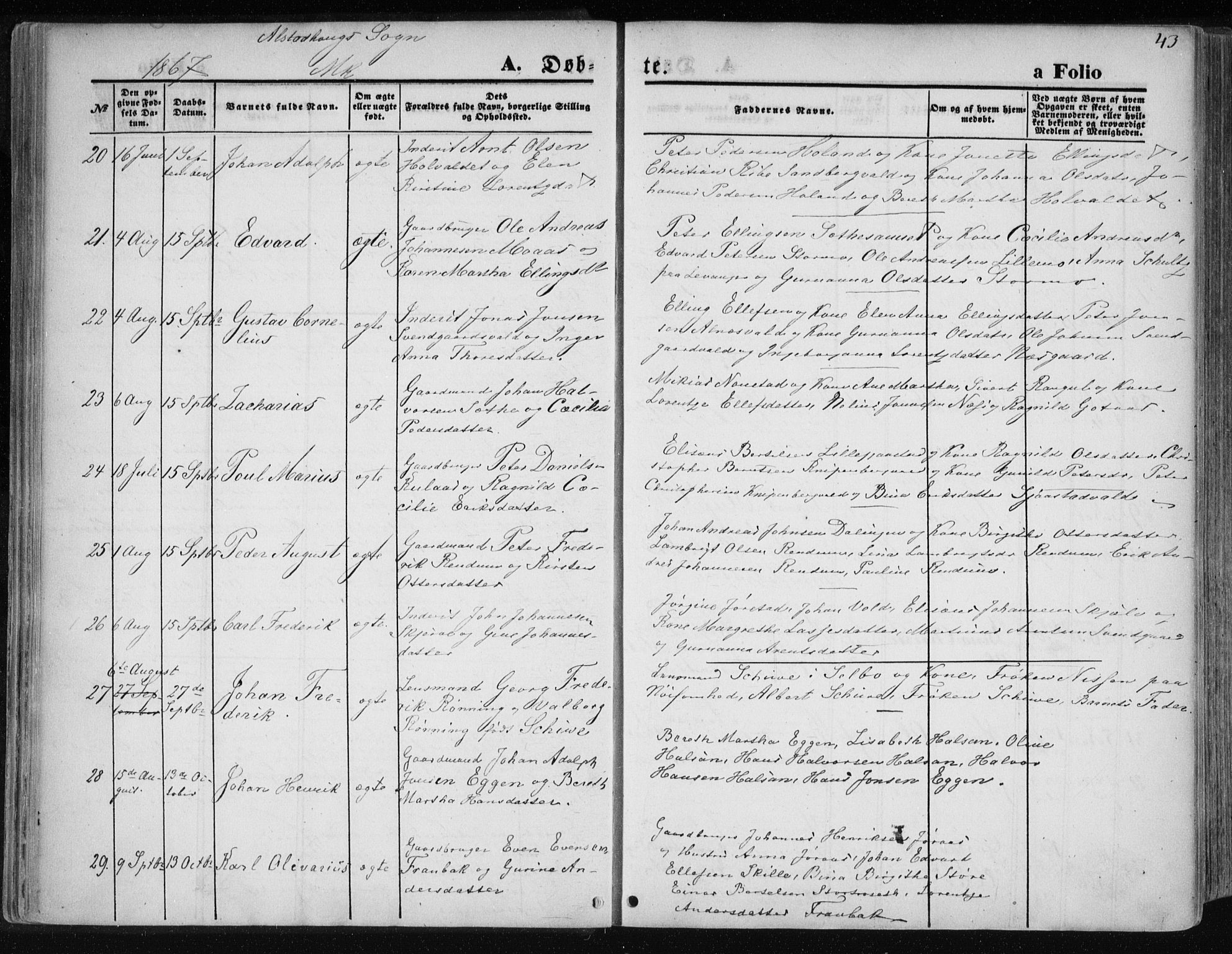 Ministerialprotokoller, klokkerbøker og fødselsregistre - Nord-Trøndelag, AV/SAT-A-1458/717/L0157: Parish register (official) no. 717A08 /1, 1863-1877, p. 43