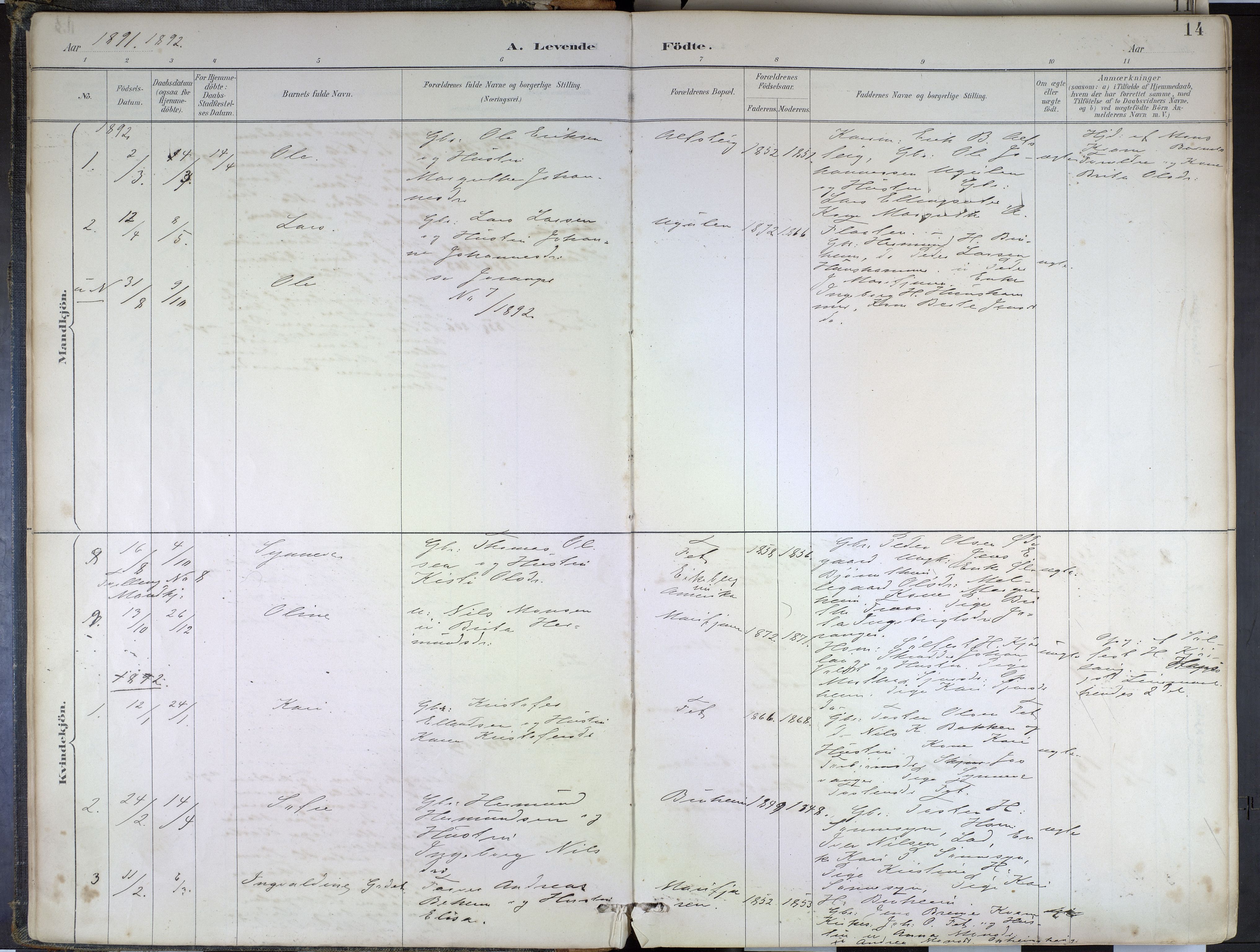 Hafslo sokneprestembete, SAB/A-80301/H/Haa/Haad/L0001: Parish register (official) no. D 1, 1886-1934, p. 14