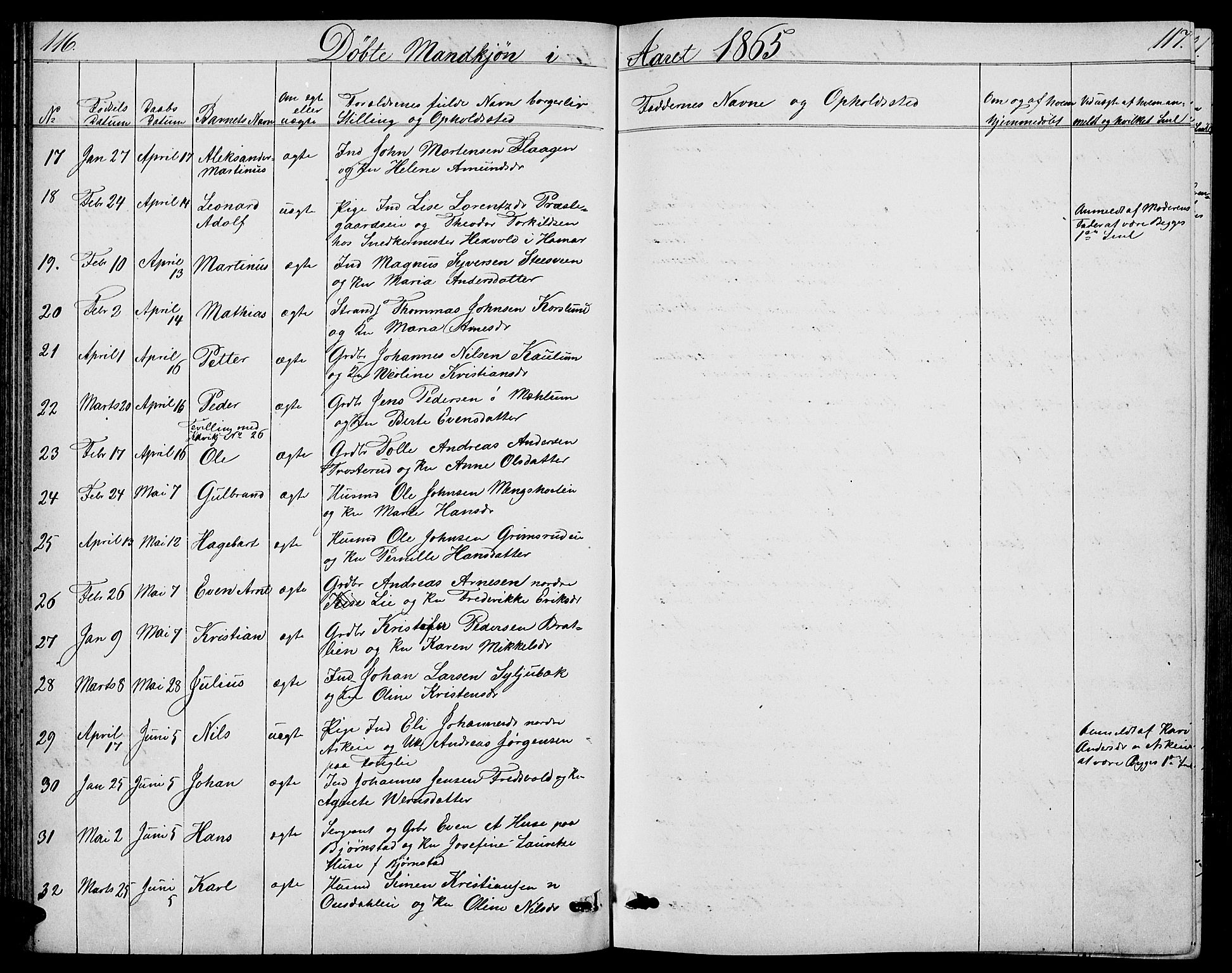 Nes prestekontor, Hedmark, SAH/PREST-020/L/La/L0005: Parish register (copy) no. 5, 1852-1889, p. 116-117