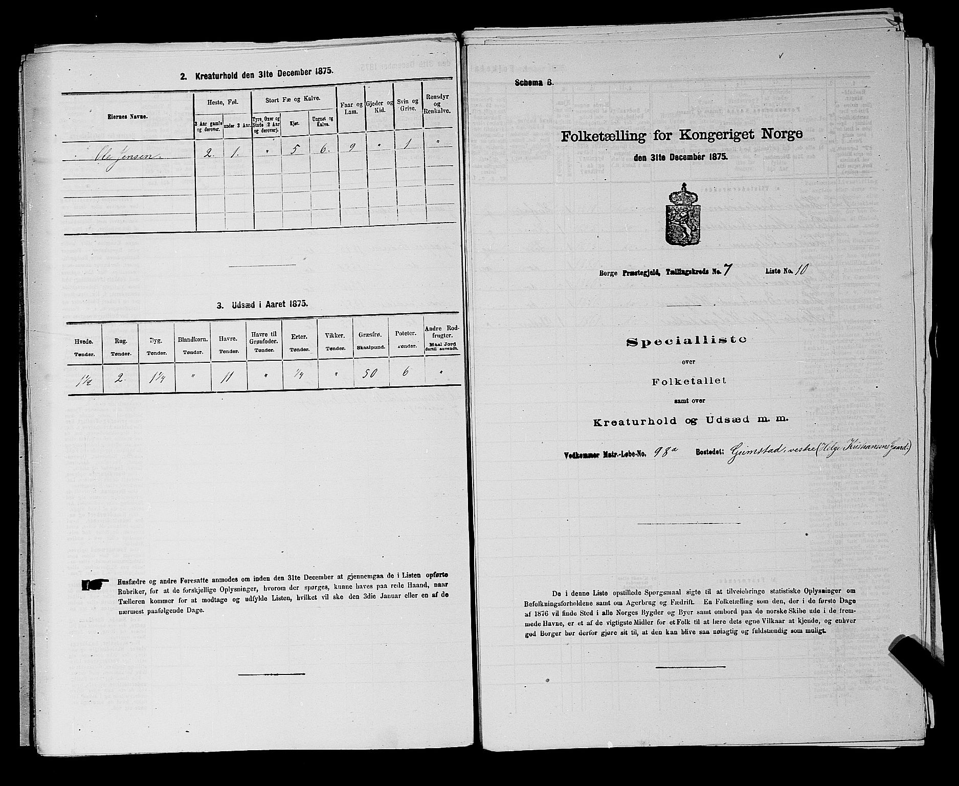 RA, 1875 census for 0113P Borge, 1875, p. 981