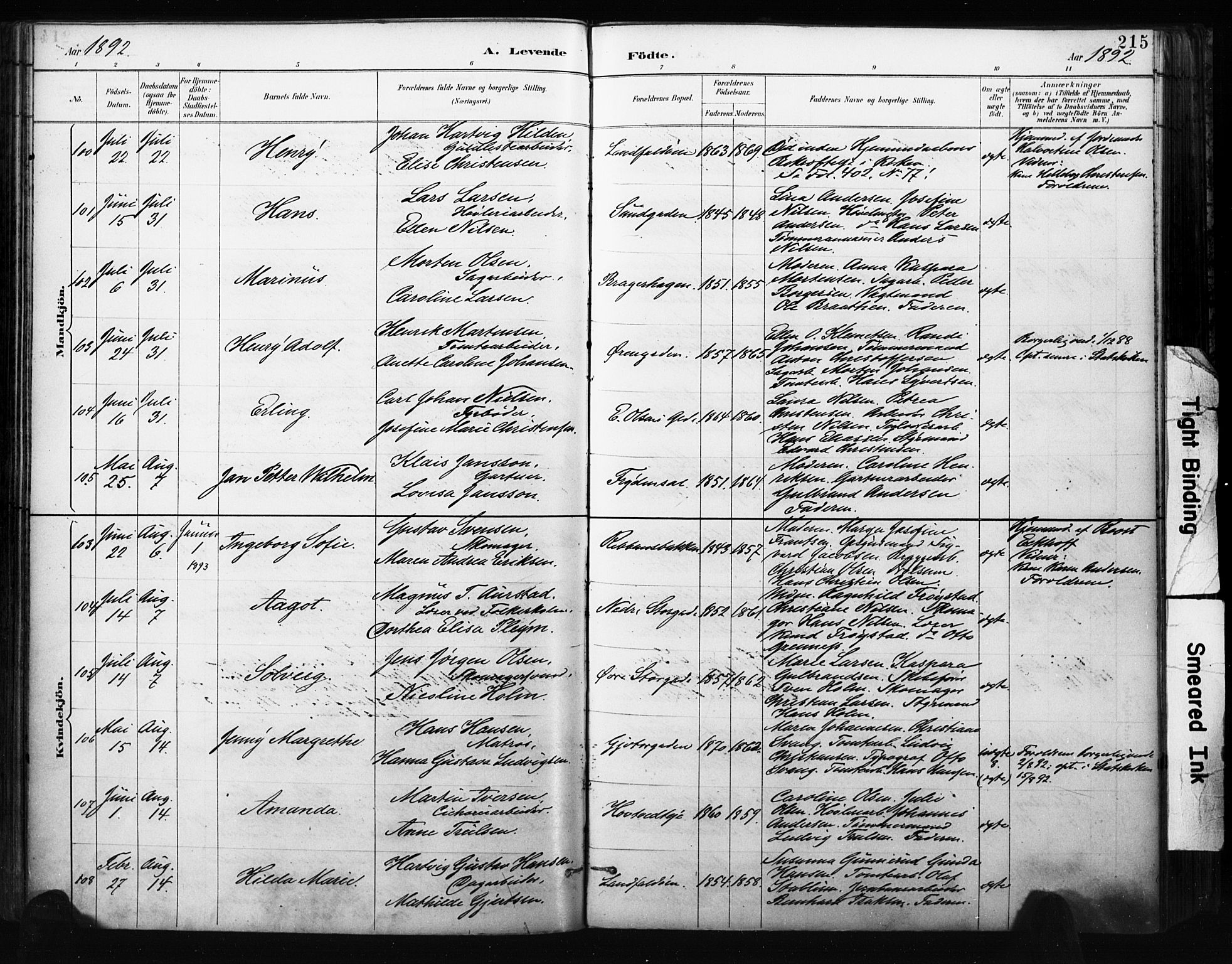 Bragernes kirkebøker, SAKO/A-6/F/Fb/L0007: Parish register (official) no. II 7, 1885-1893, p. 215