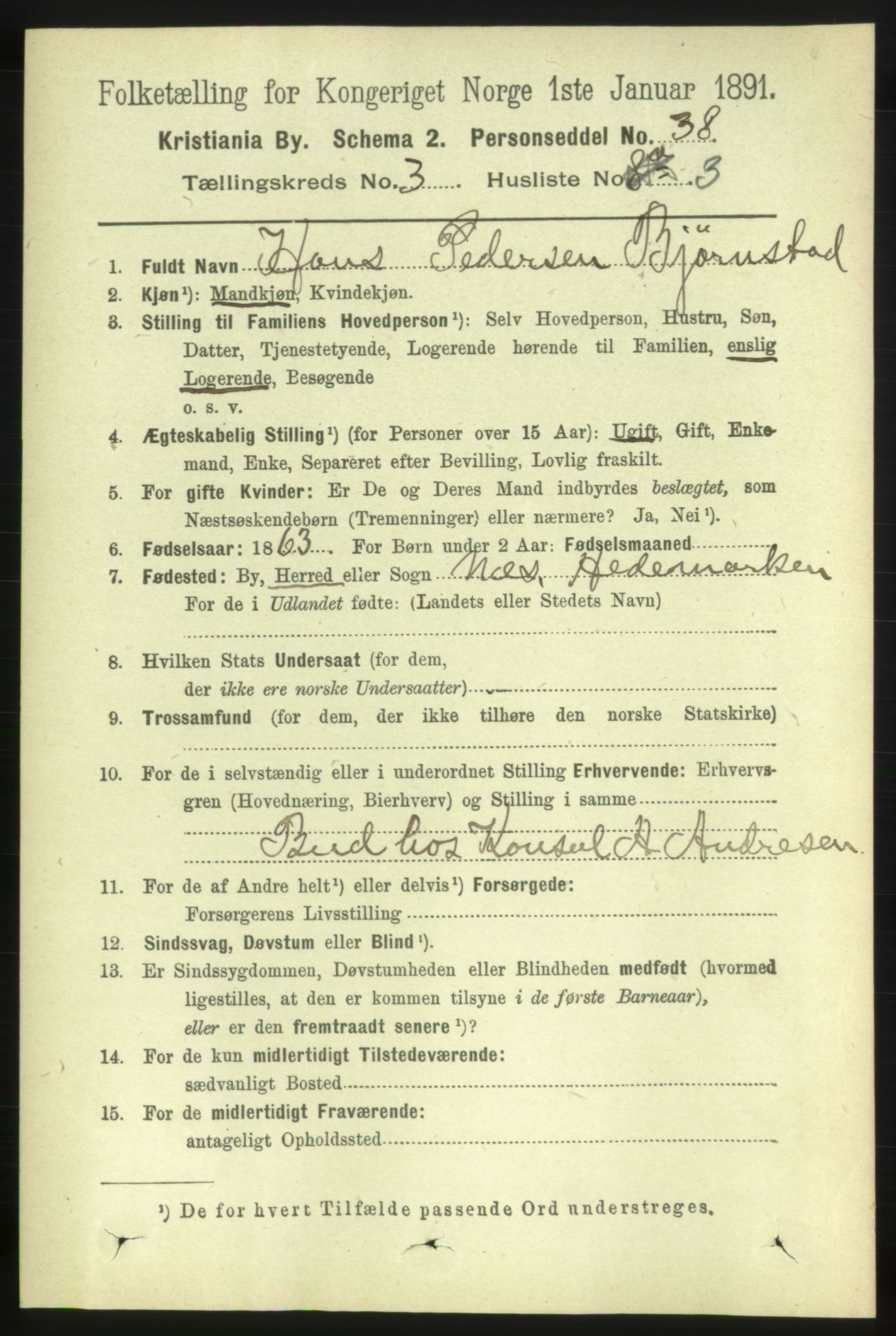 RA, 1891 census for 0301 Kristiania, 1891, p. 1294