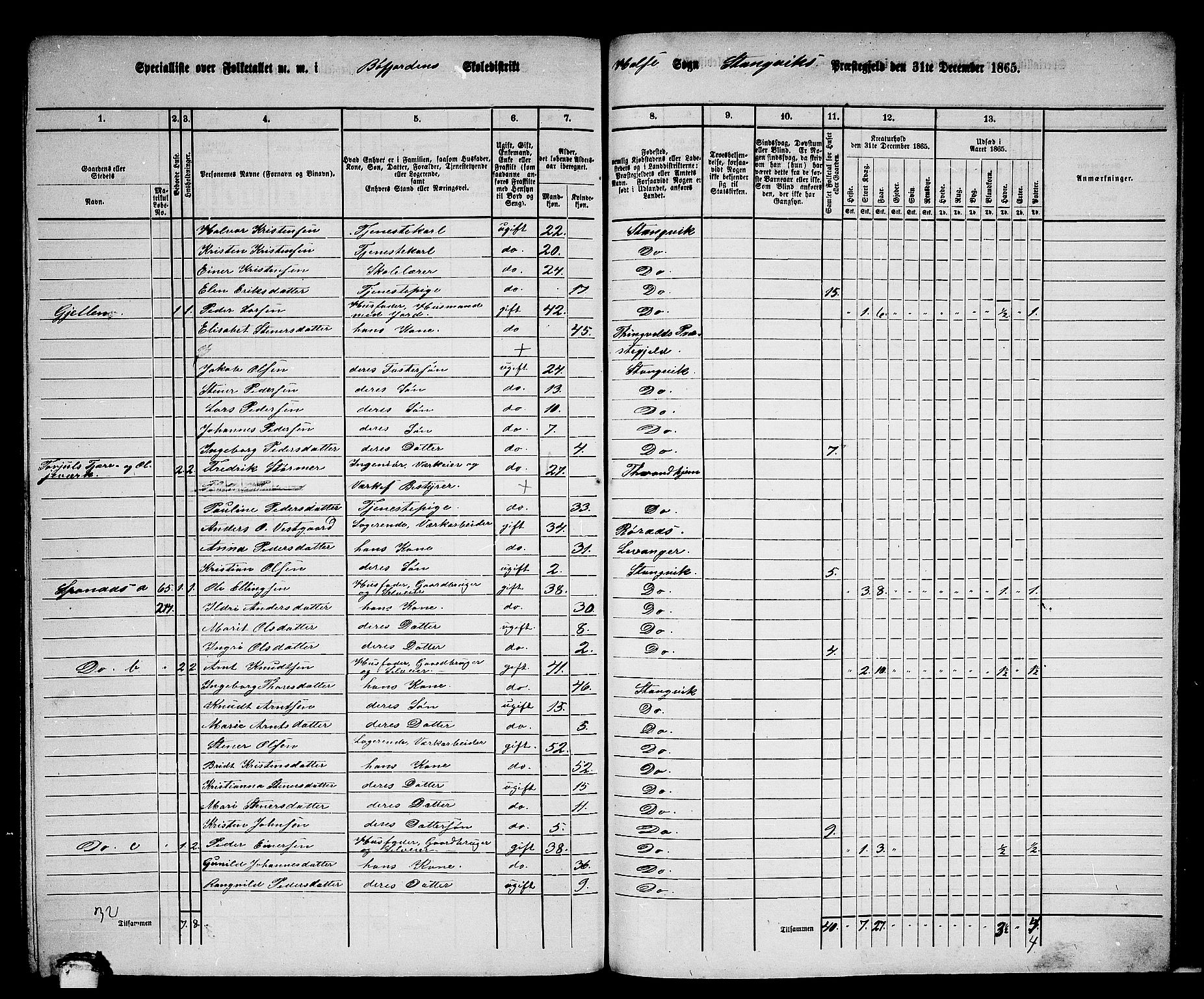 RA, 1865 census for Stangvik, 1865, p. 176