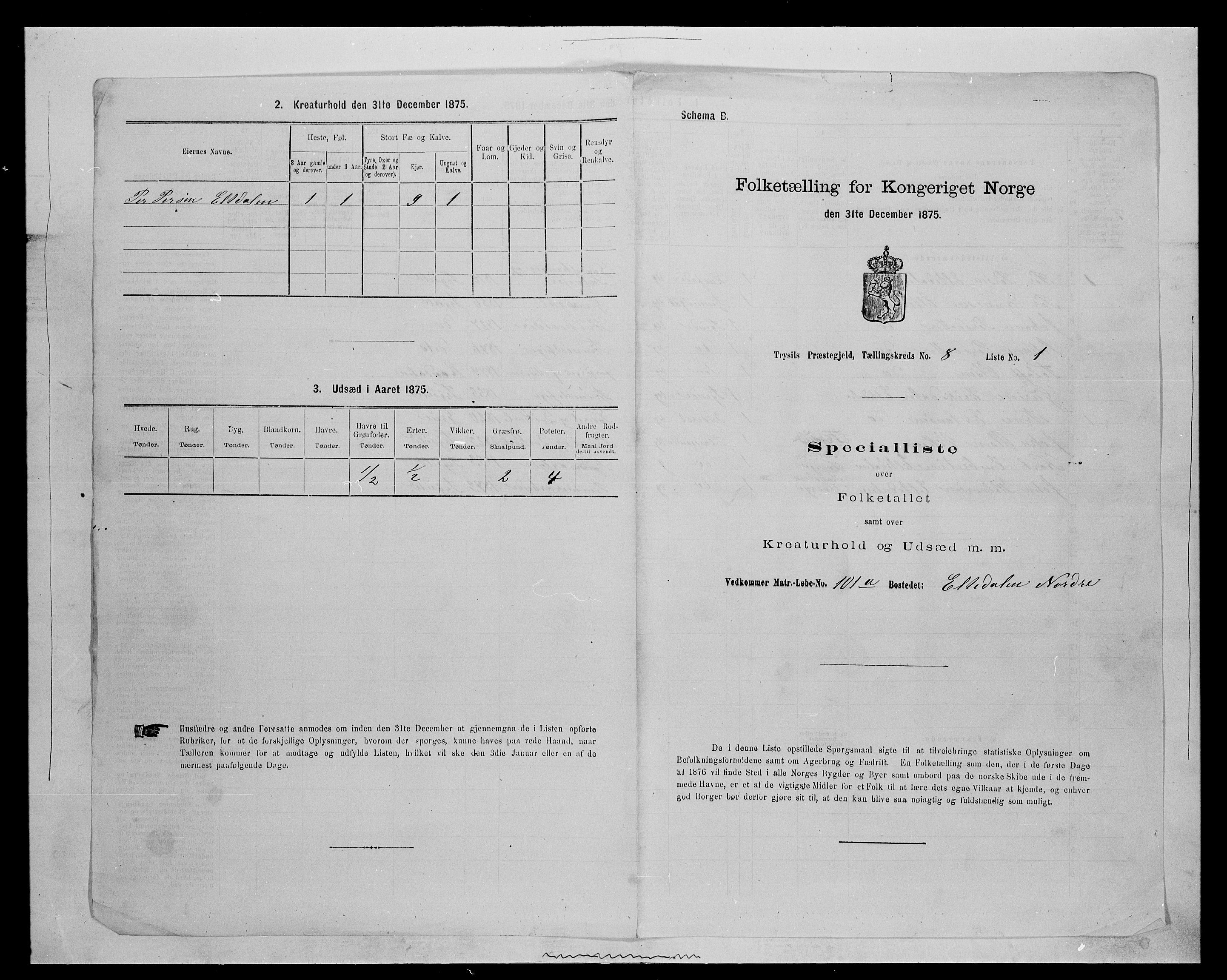 SAH, 1875 census for 0428P Trysil, 1875, p. 955