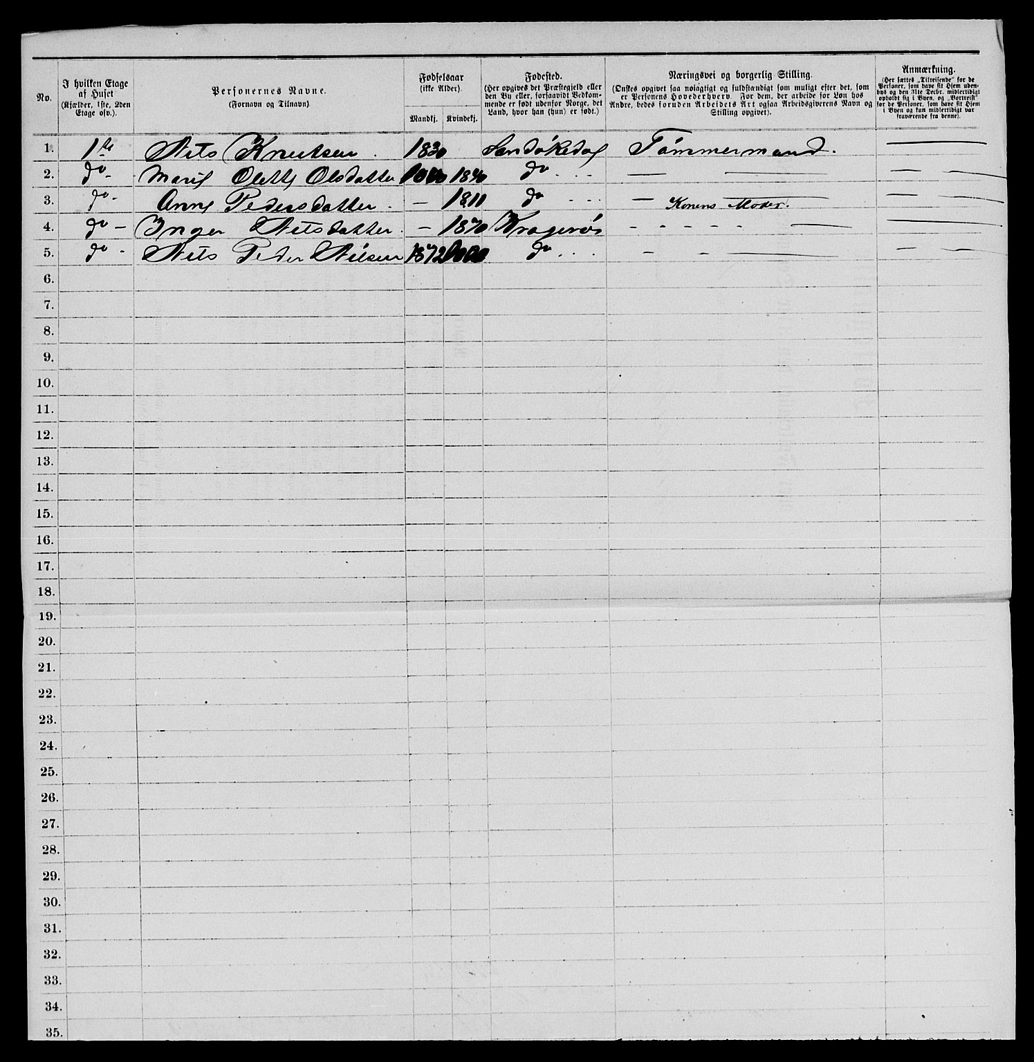 SAKO, 1885 census for 0801 Kragerø, 1885, p. 396