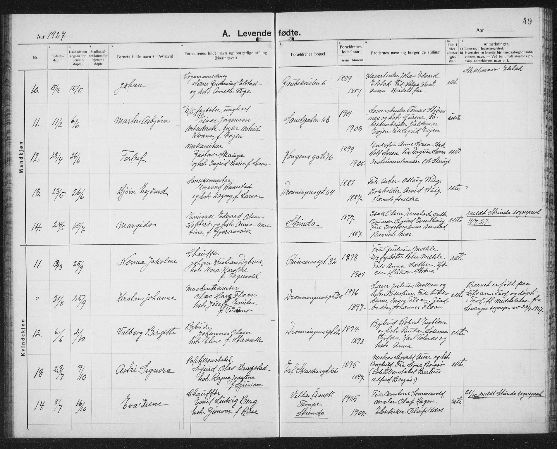 Ministerialprotokoller, klokkerbøker og fødselsregistre - Sør-Trøndelag, AV/SAT-A-1456/602/L0148: Parish register (copy) no. 602C16, 1919-1939, p. 49