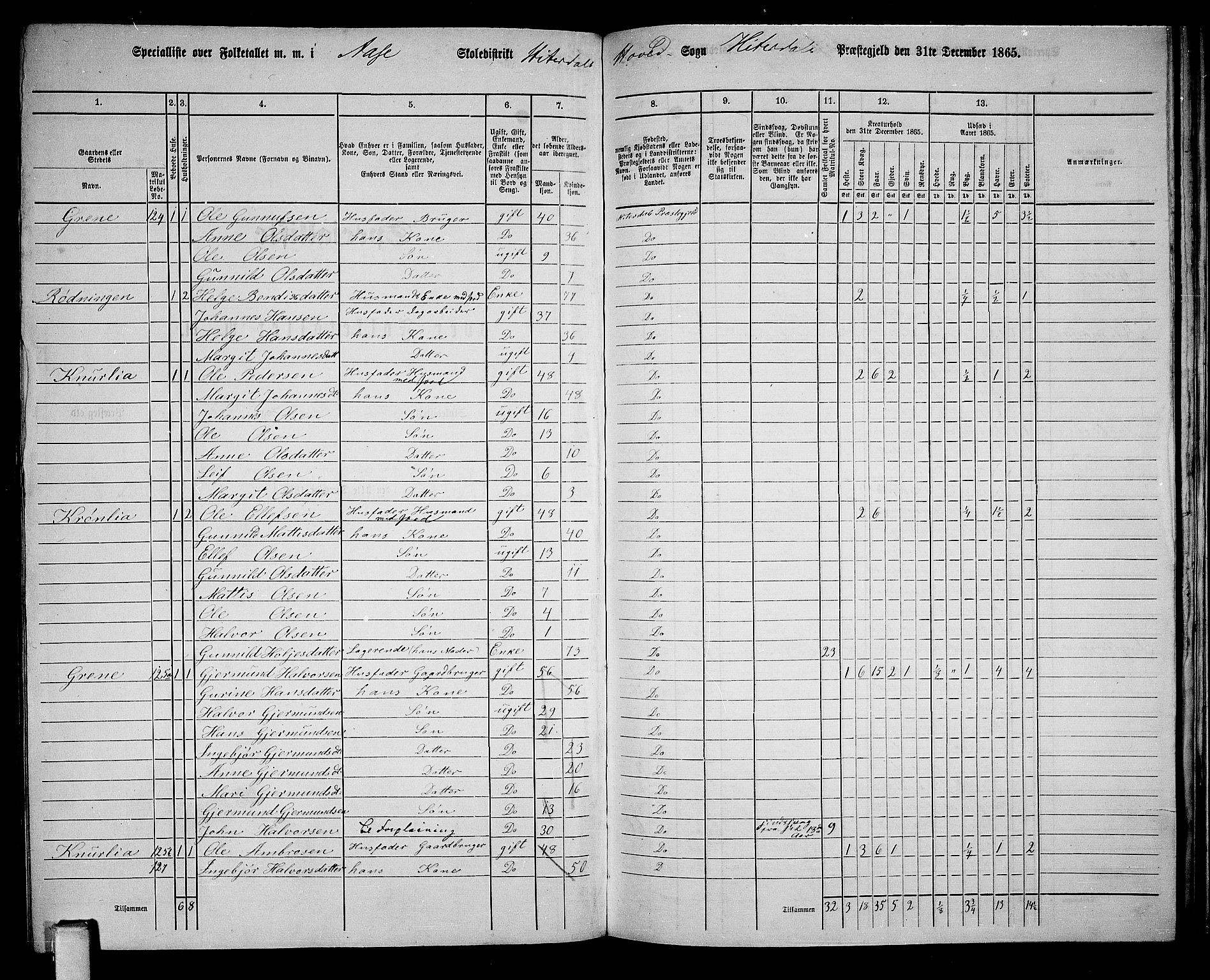 RA, 1865 census for Heddal, 1865, p. 109