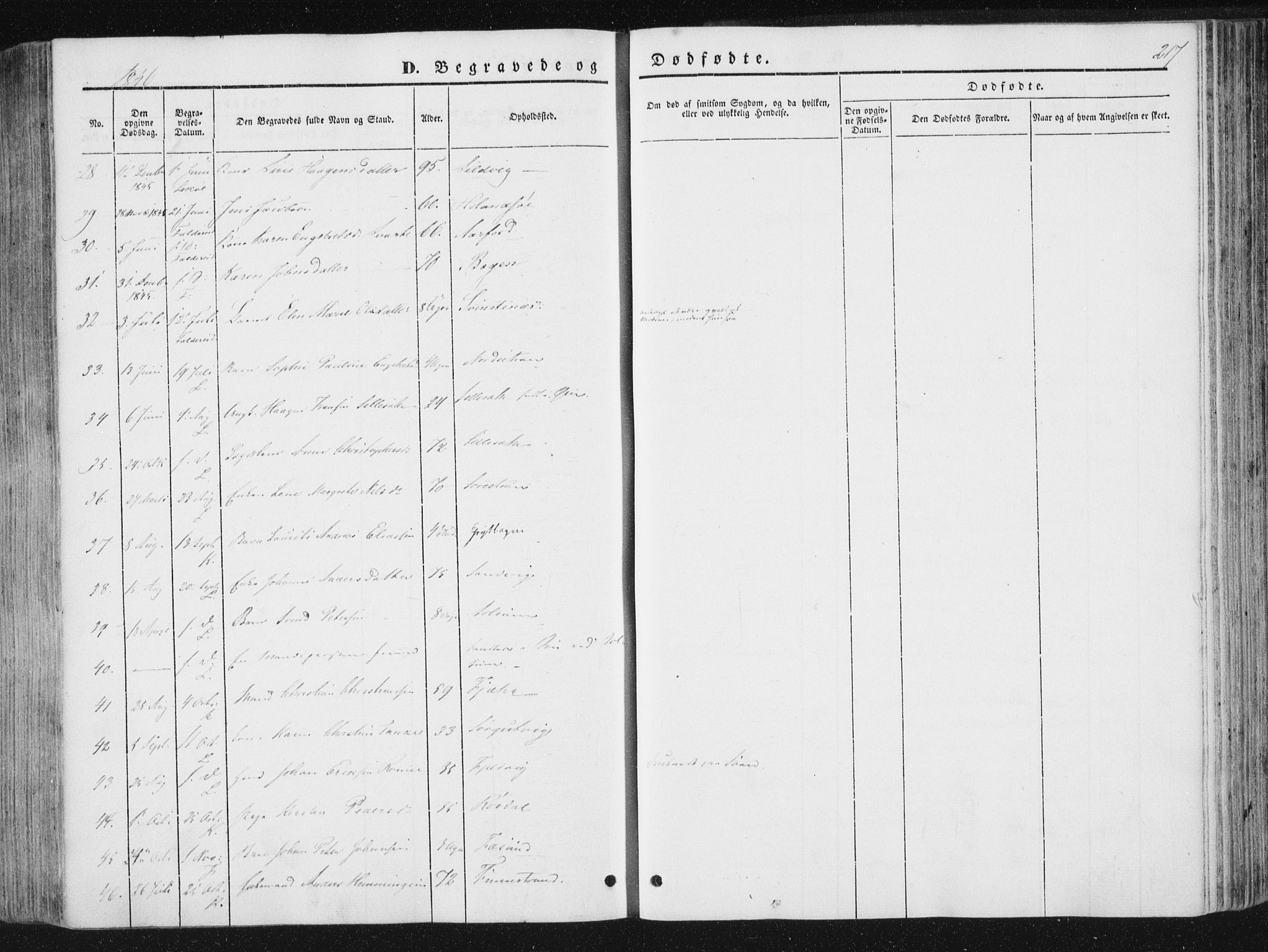 Ministerialprotokoller, klokkerbøker og fødselsregistre - Nord-Trøndelag, AV/SAT-A-1458/780/L0640: Parish register (official) no. 780A05, 1845-1856, p. 217